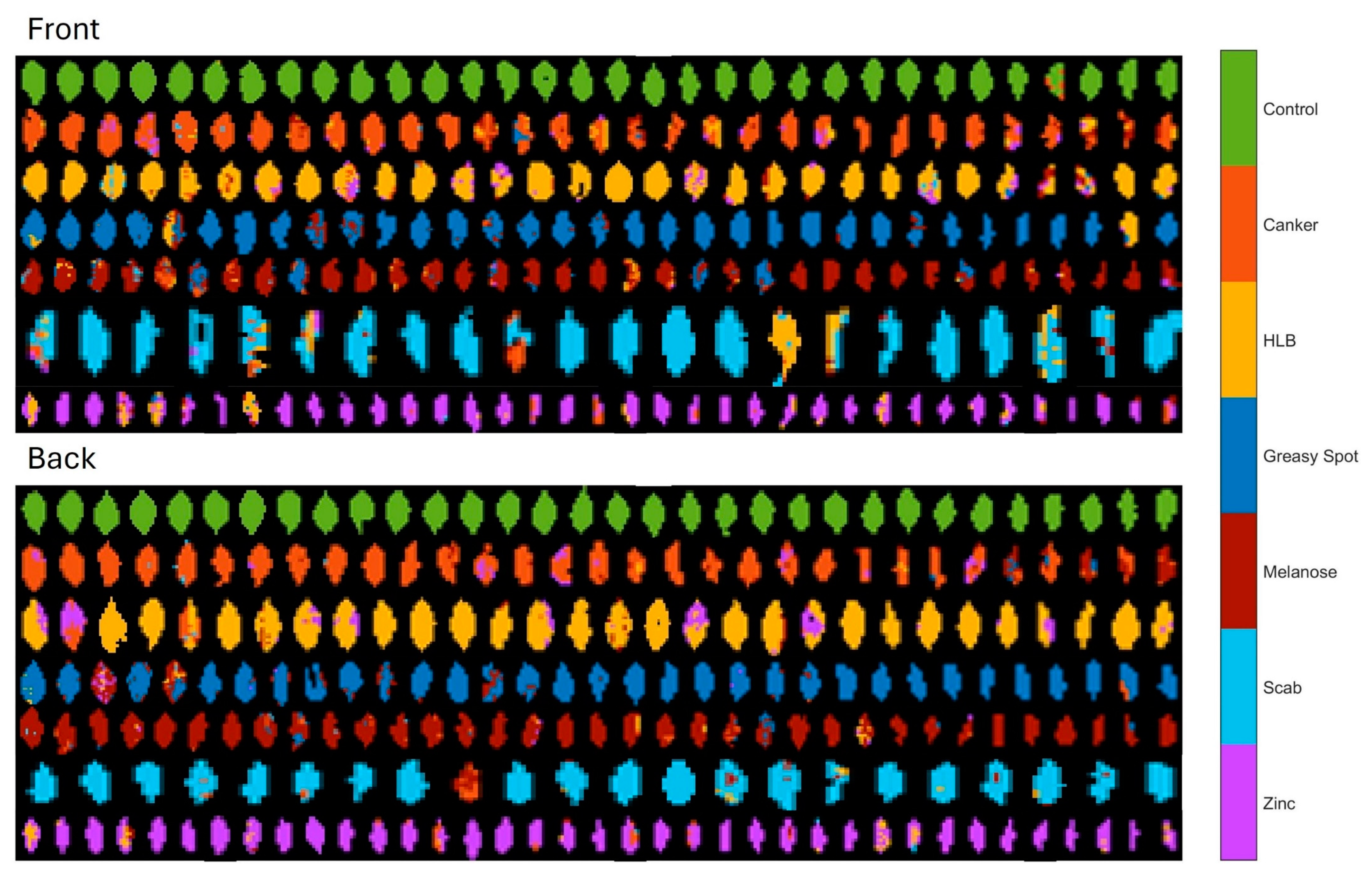 Horticulturae 10 01124 g012