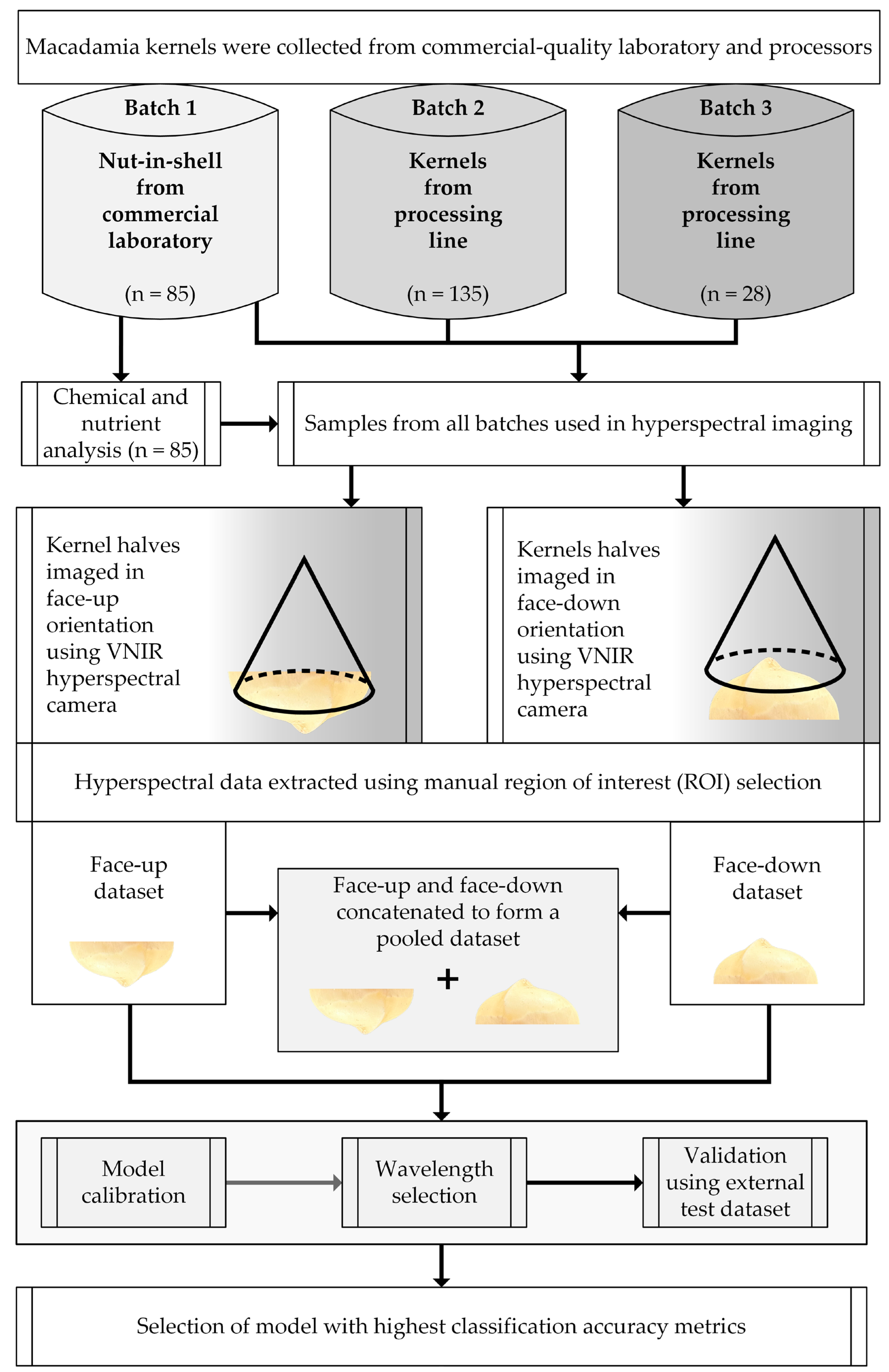 Horticulturae 10 01129 g001 Horticulturae 10 01129 g001