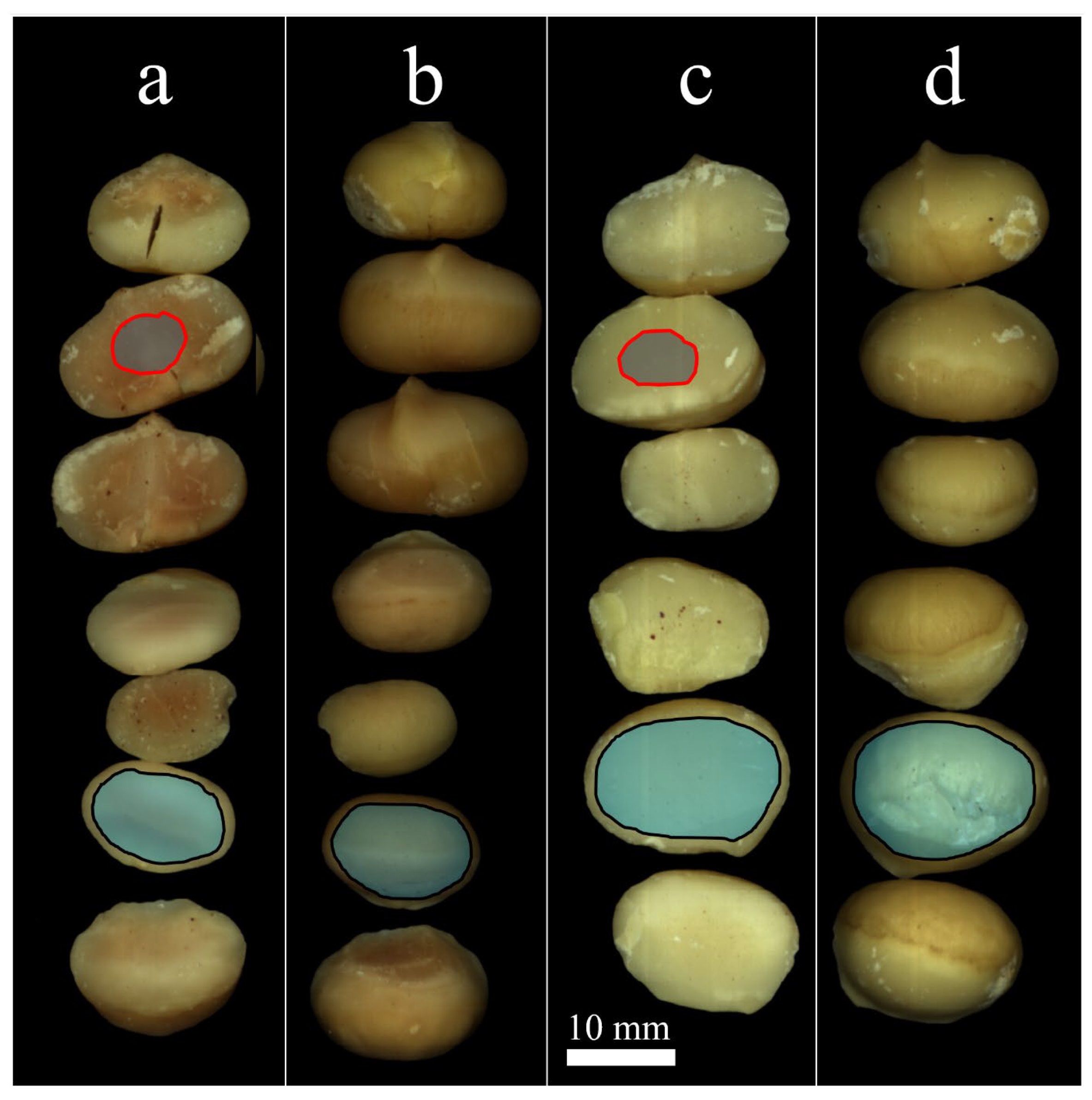Horticulturae 10 01129 g002 Horticulturae 10 01129 g002
