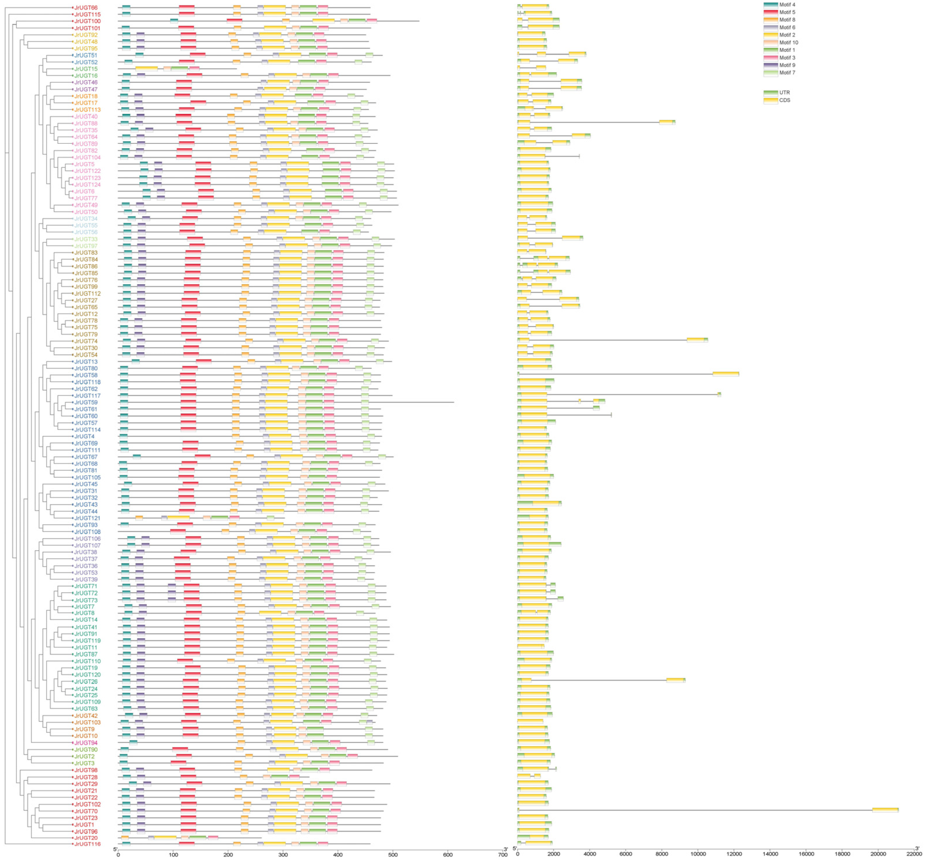Horticulturae 10 01130 g005