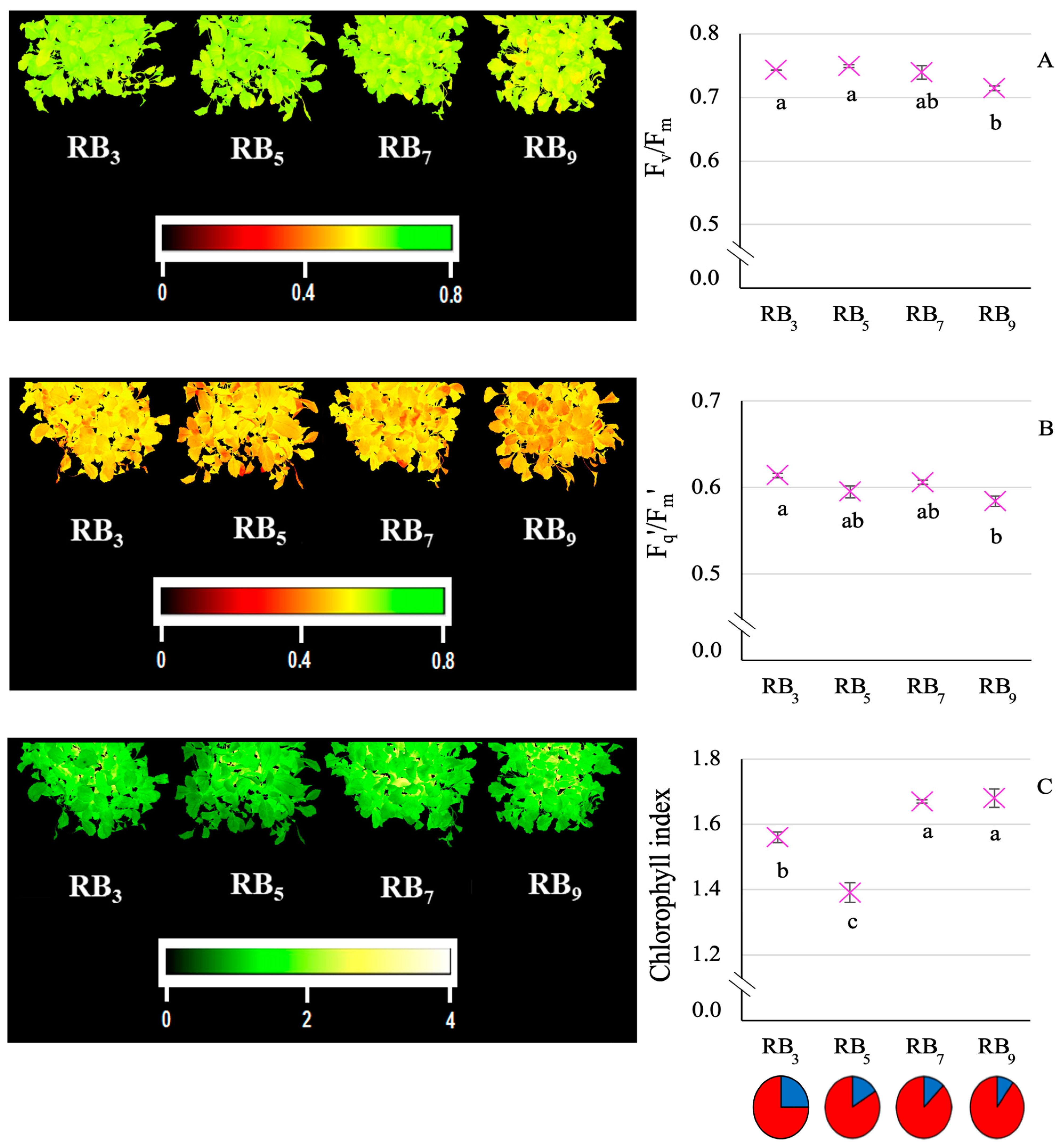 Horticulturae 10 01134 g005