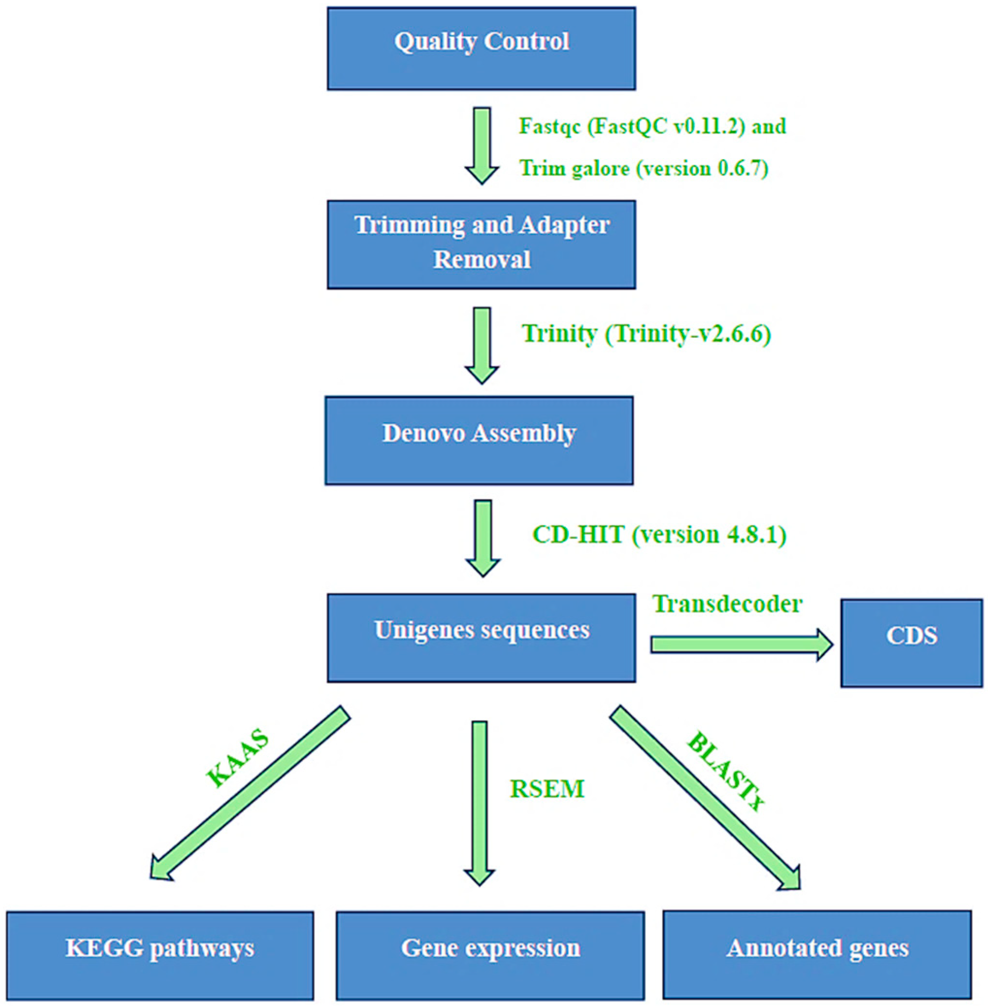 Horticulturae 10 01138 g002