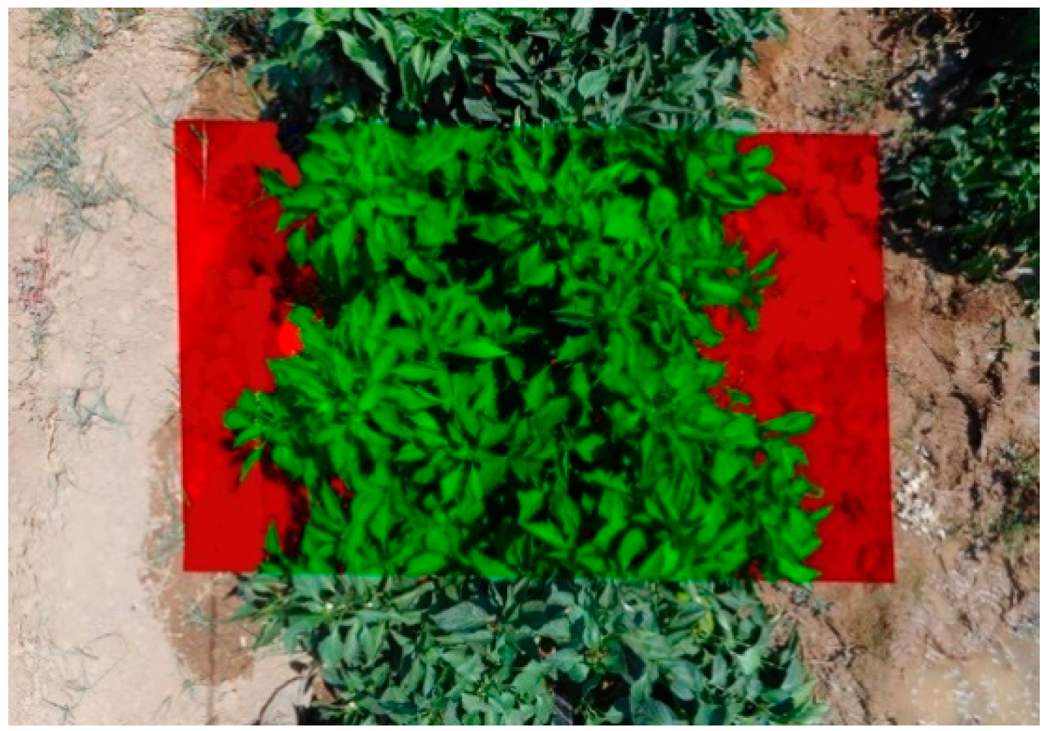 Horticulturae 10 01141 g001