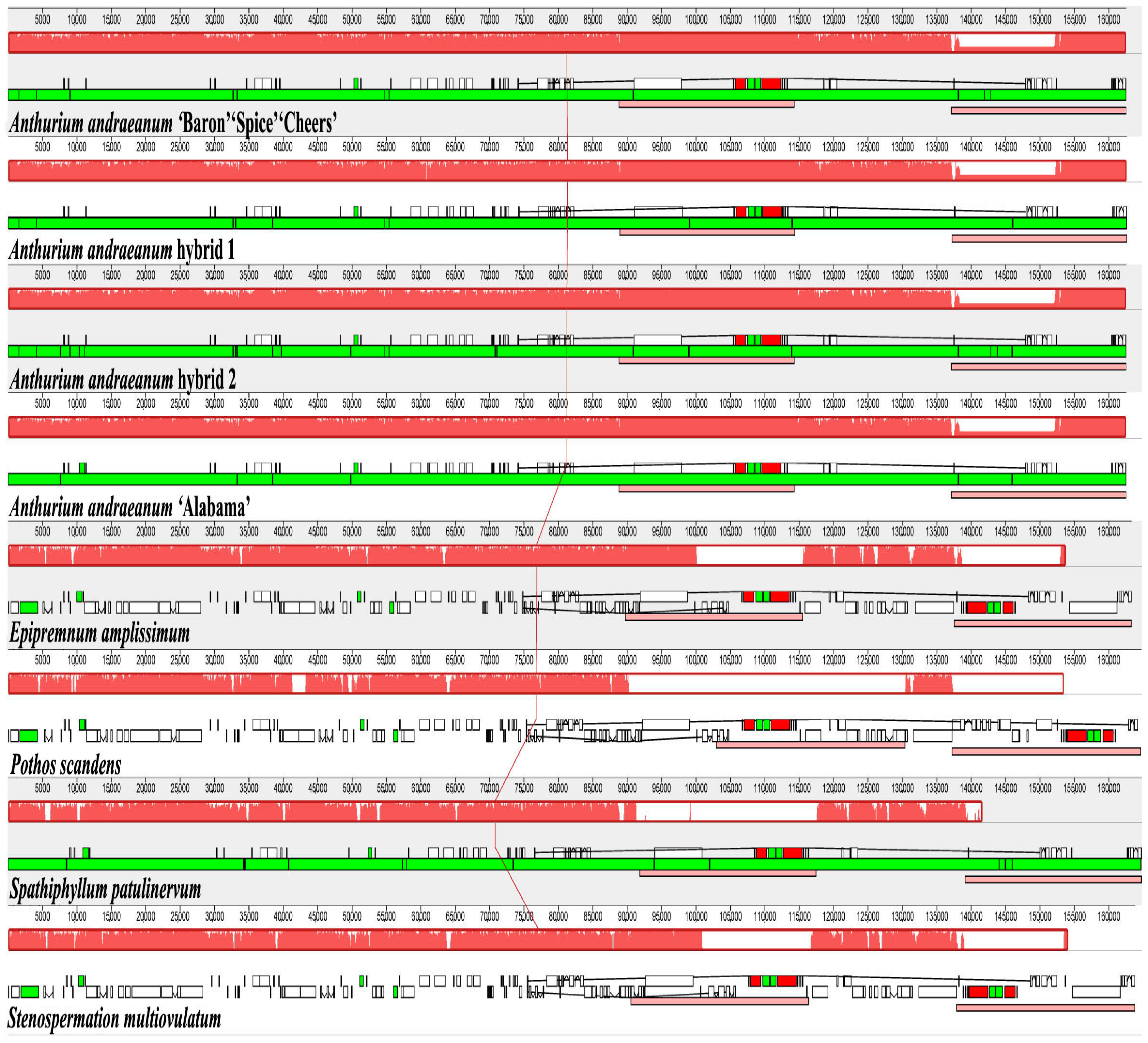 Horticulturae 10 01146 g004