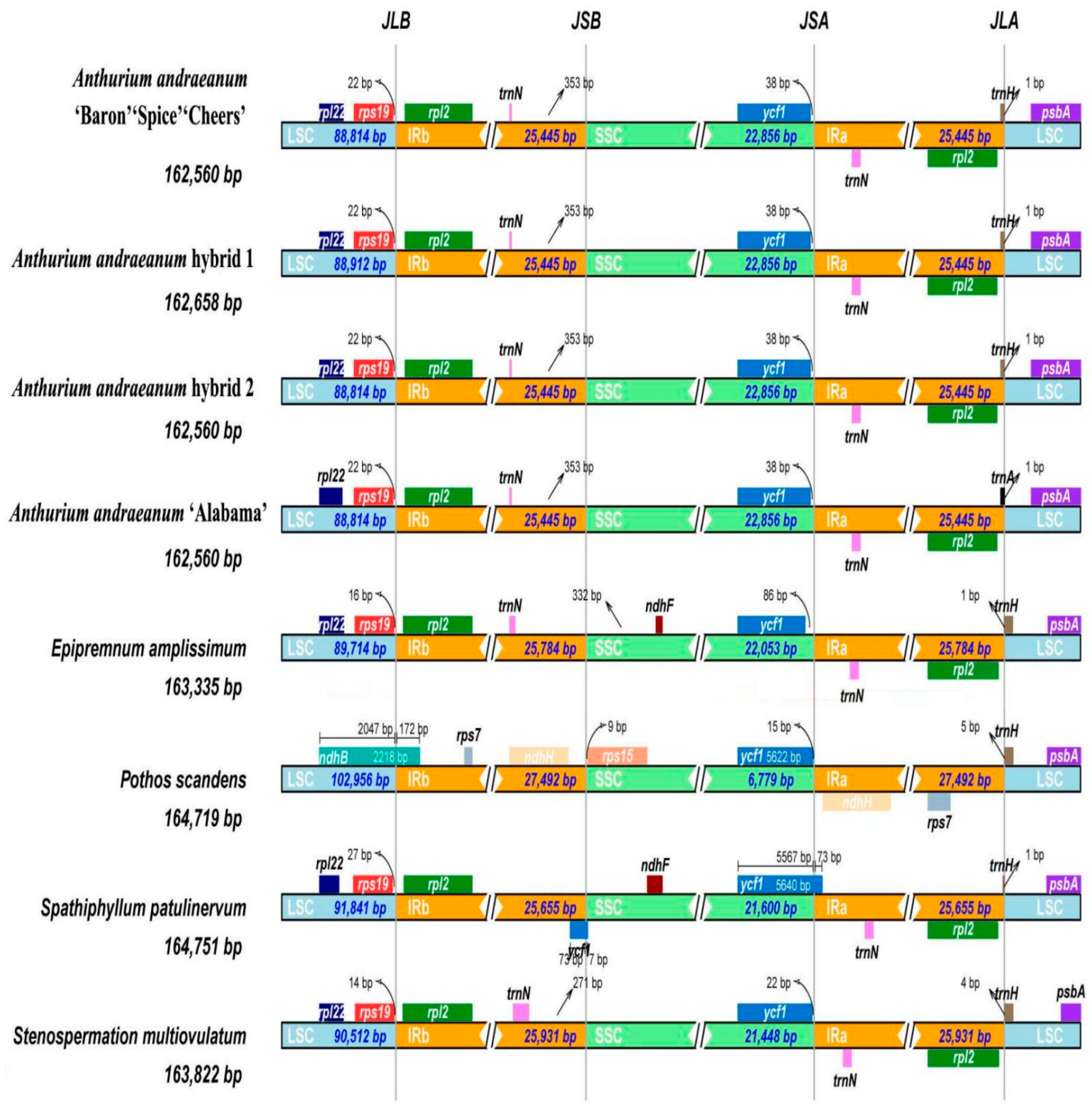 Horticulturae 10 01146 g005