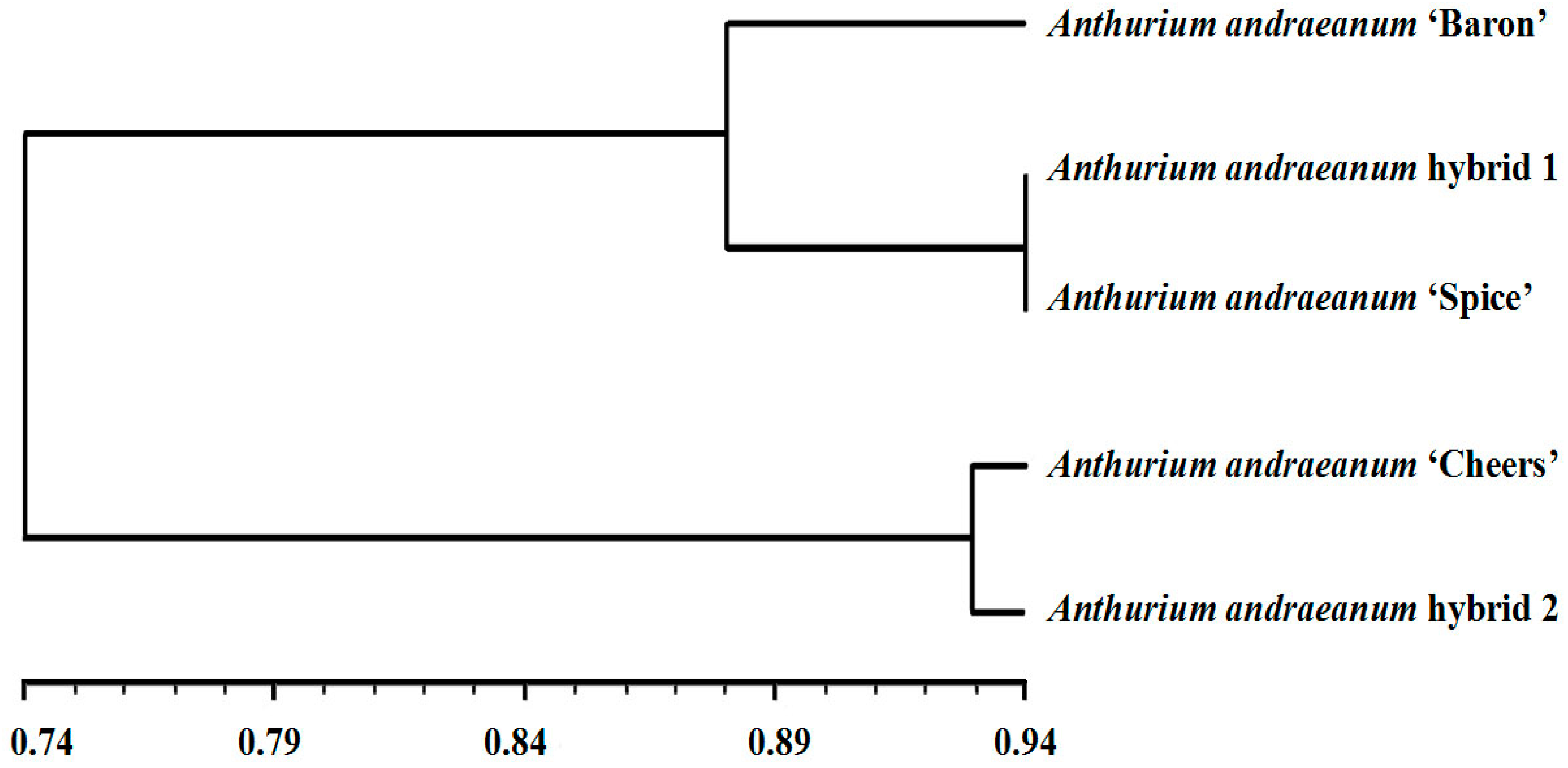 Horticulturae 10 01146 g006
