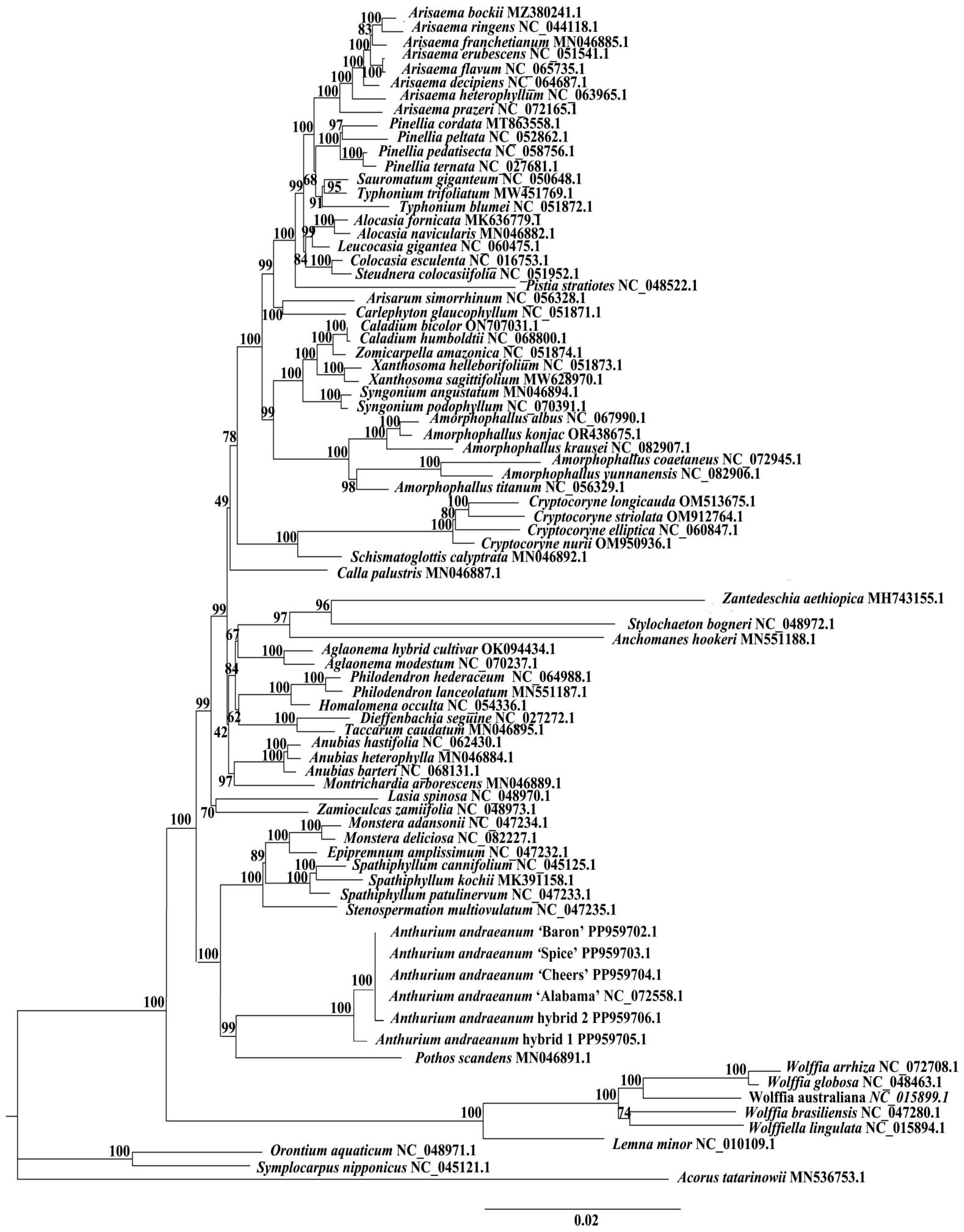 Horticulturae 10 01146 g007
