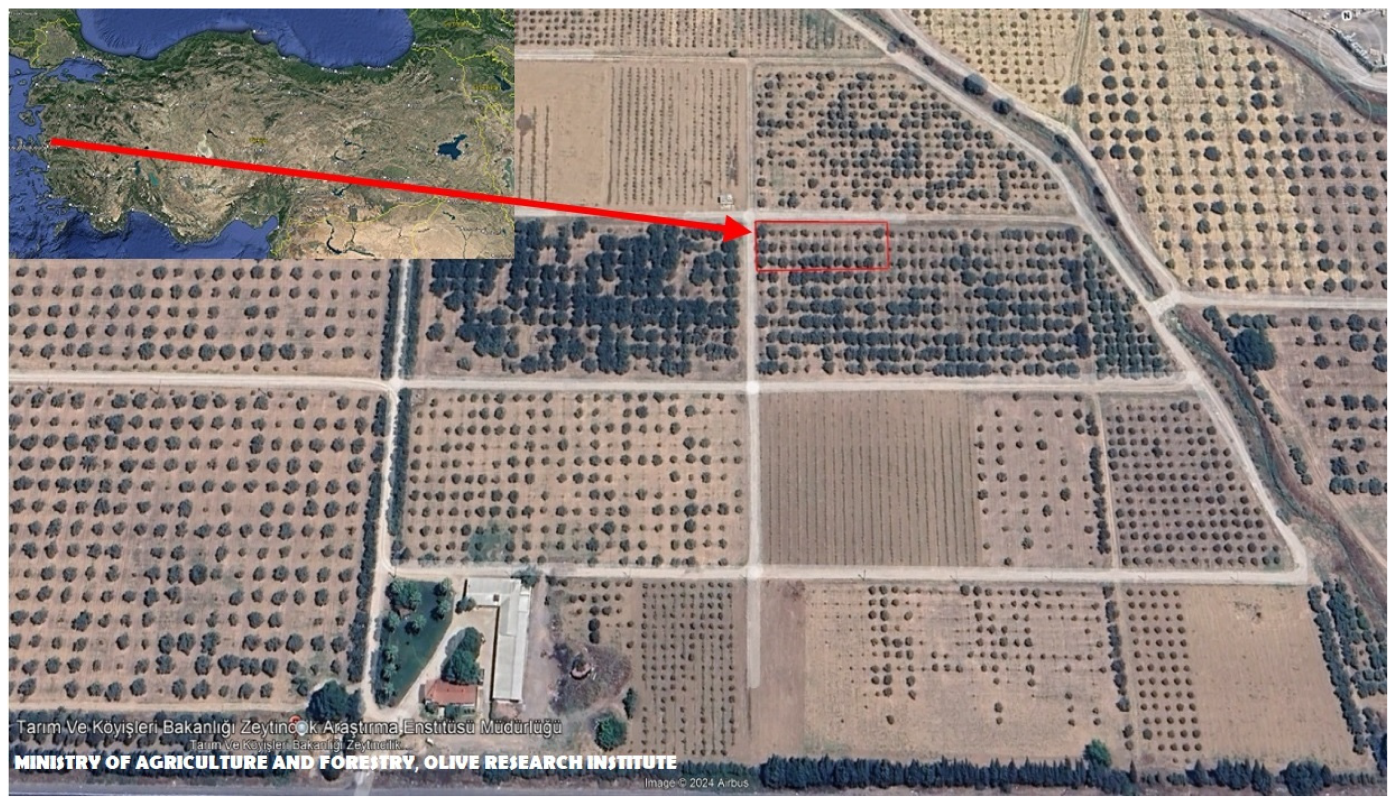 Horticulturae 10 01147 g001