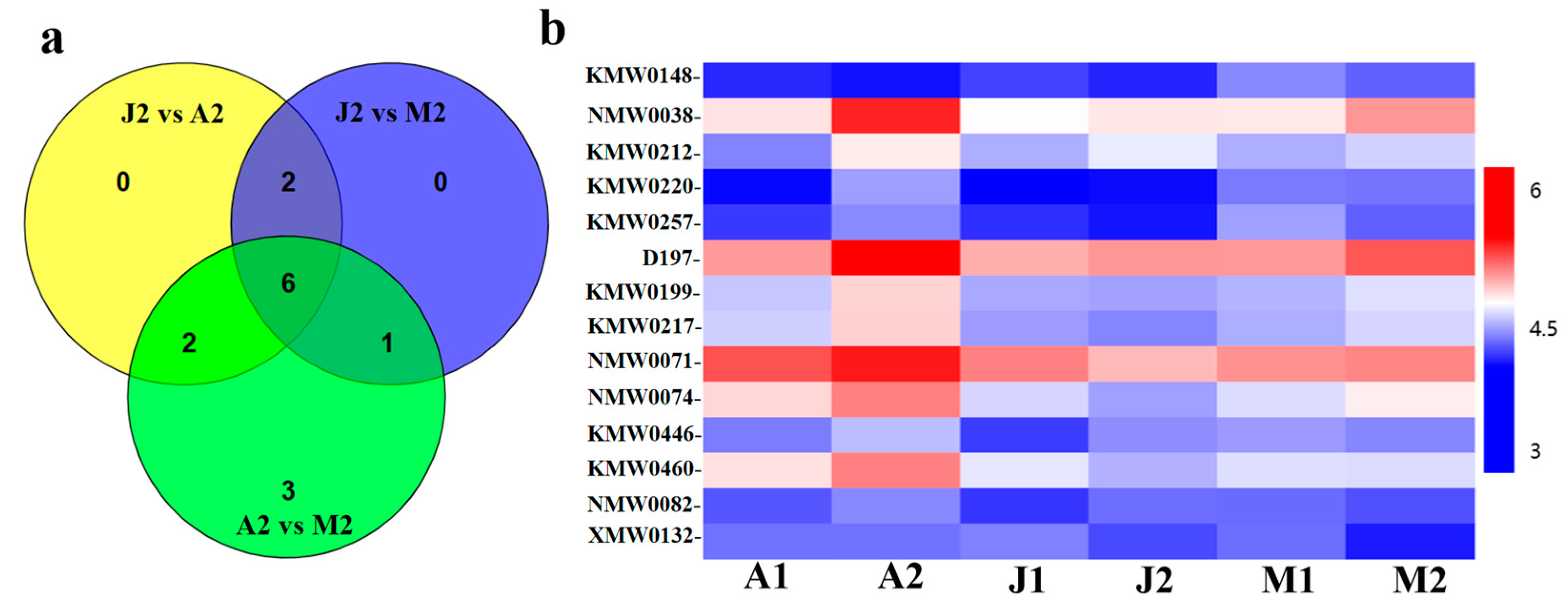 Horticulturae 10 01159 g003