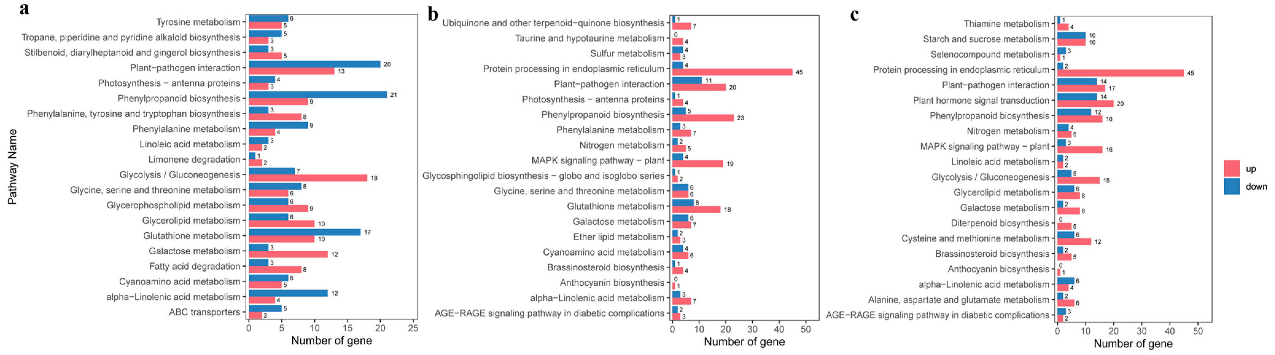Horticulturae 10 01159 g005