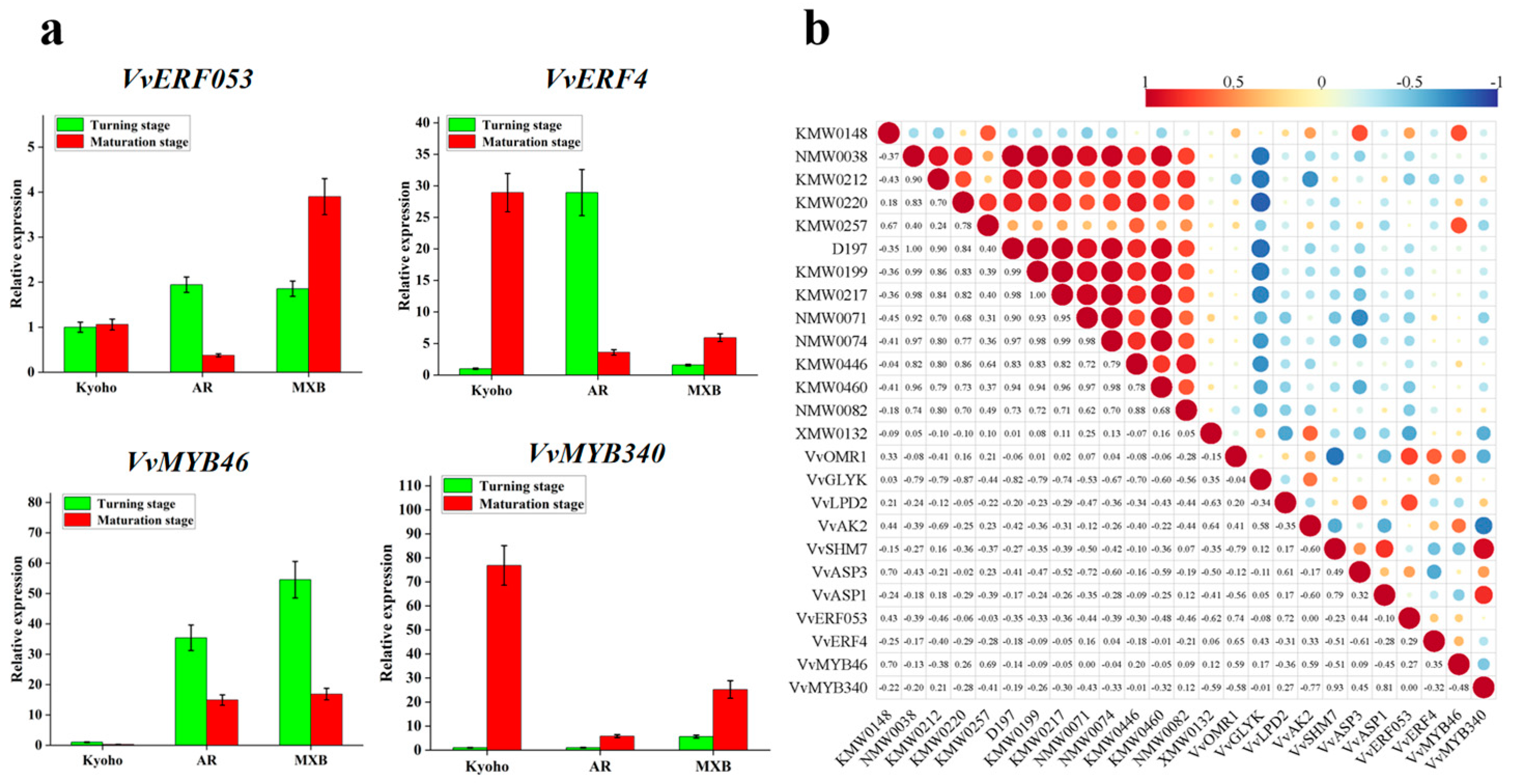 Horticulturae 10 01159 g007
