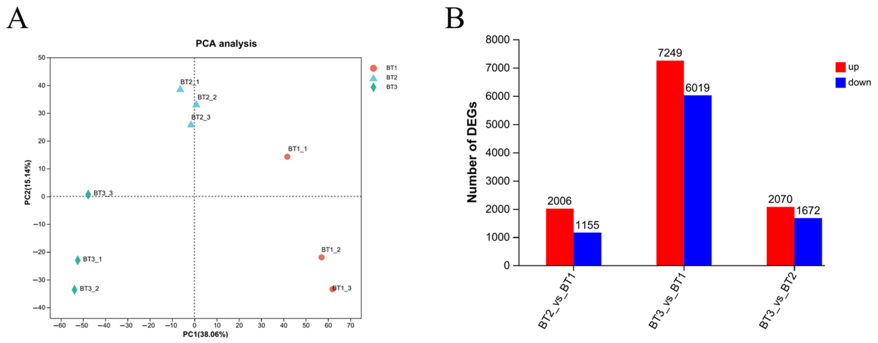 Horticulturae 10 01161 g004