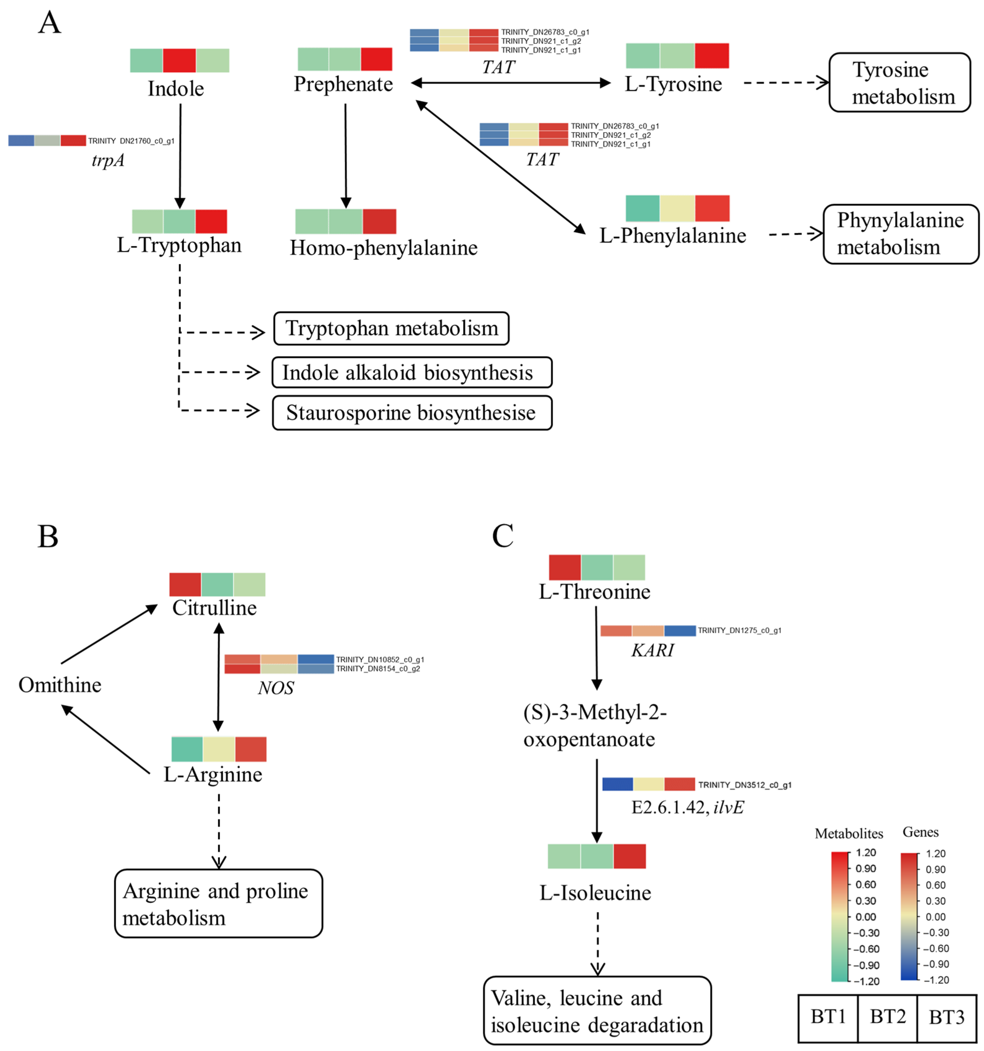 Horticulturae 10 01161 g006
