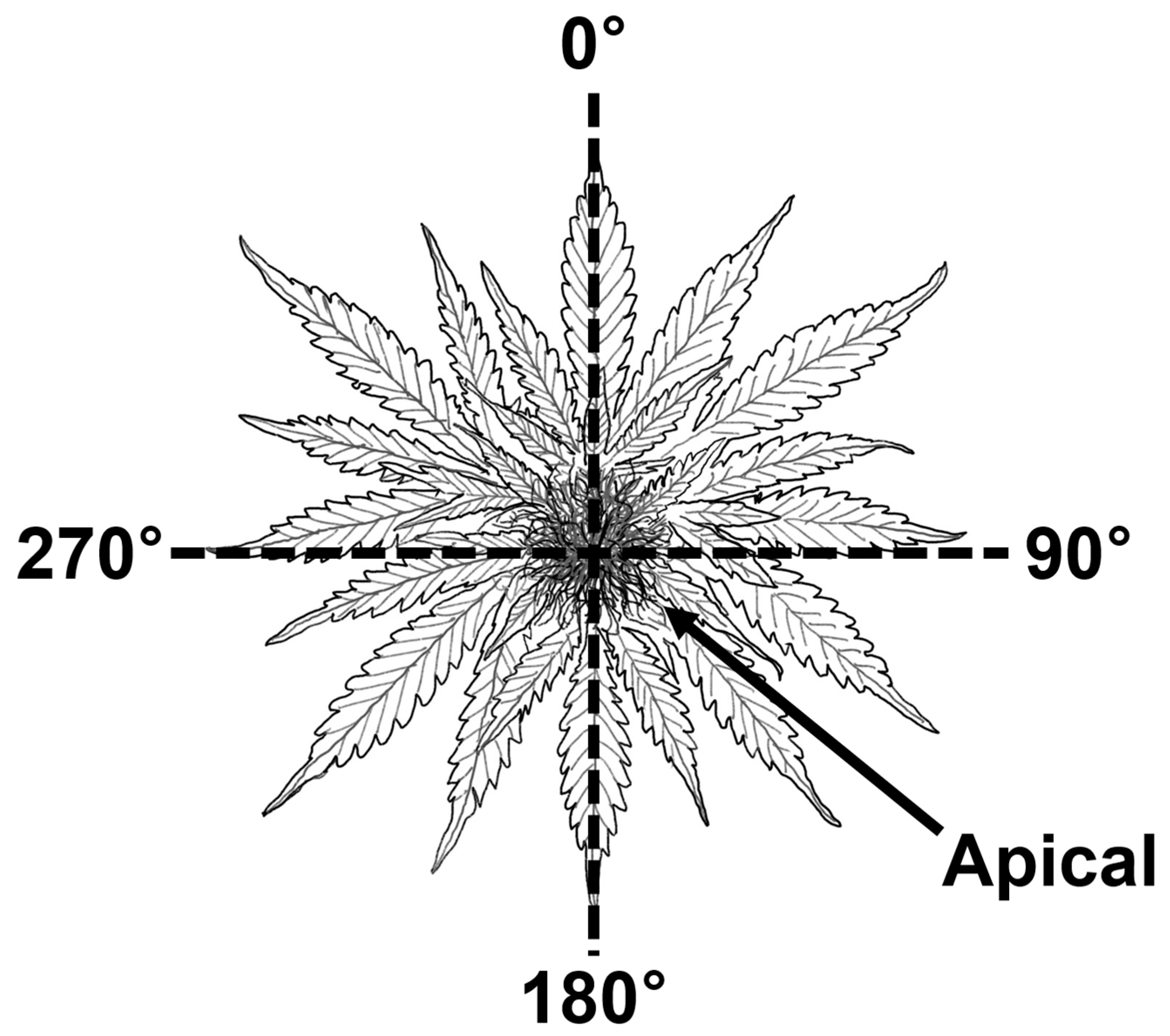Horticulturae 10 01165 g002
