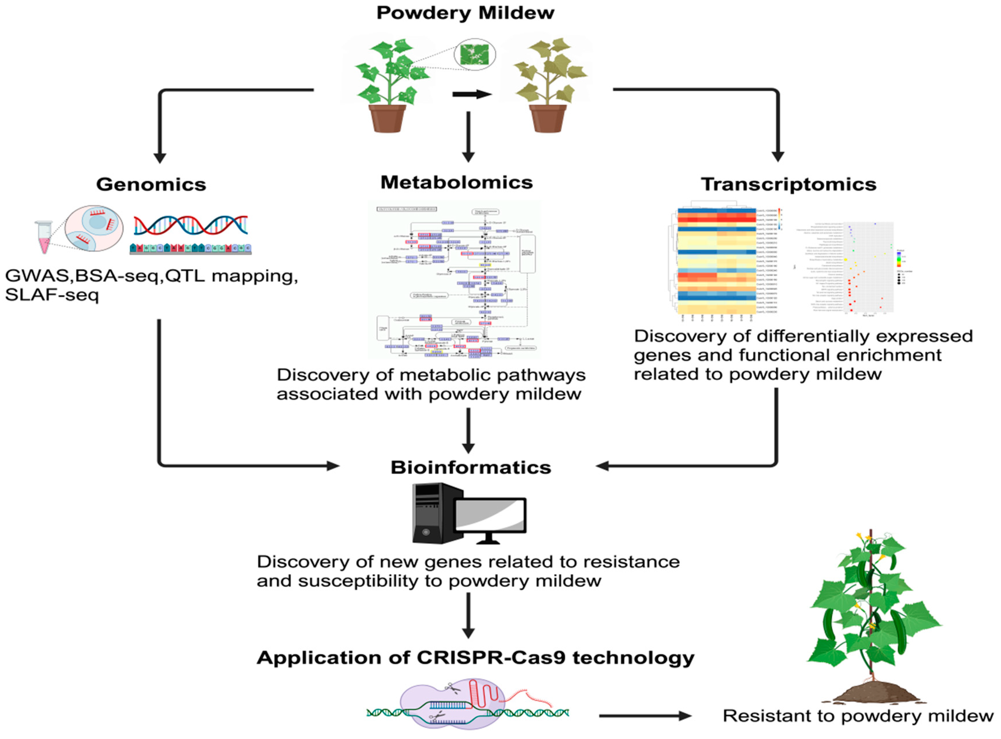 Horticulturae 10 01166 g002