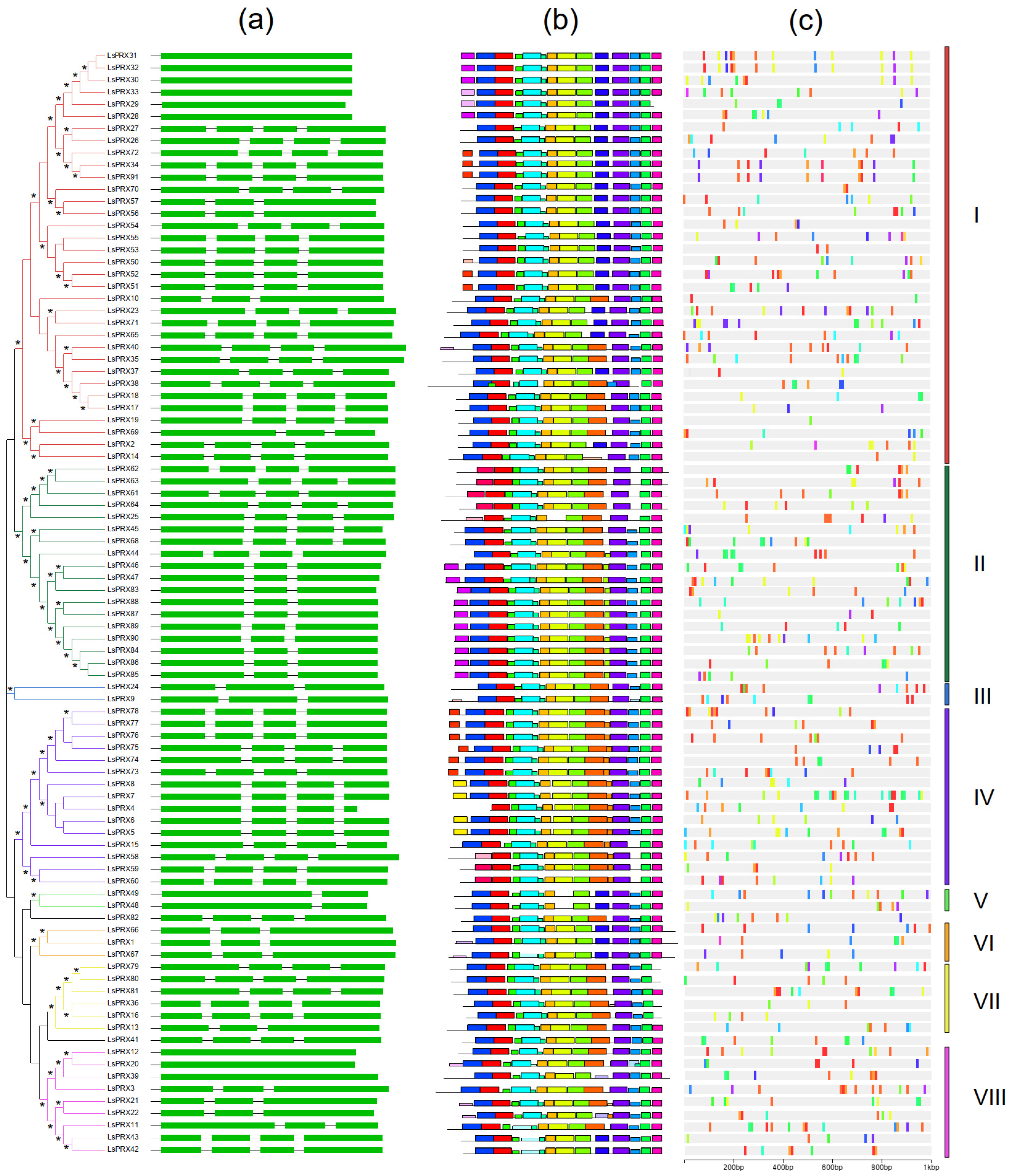 Horticulturae 10 01170 g001