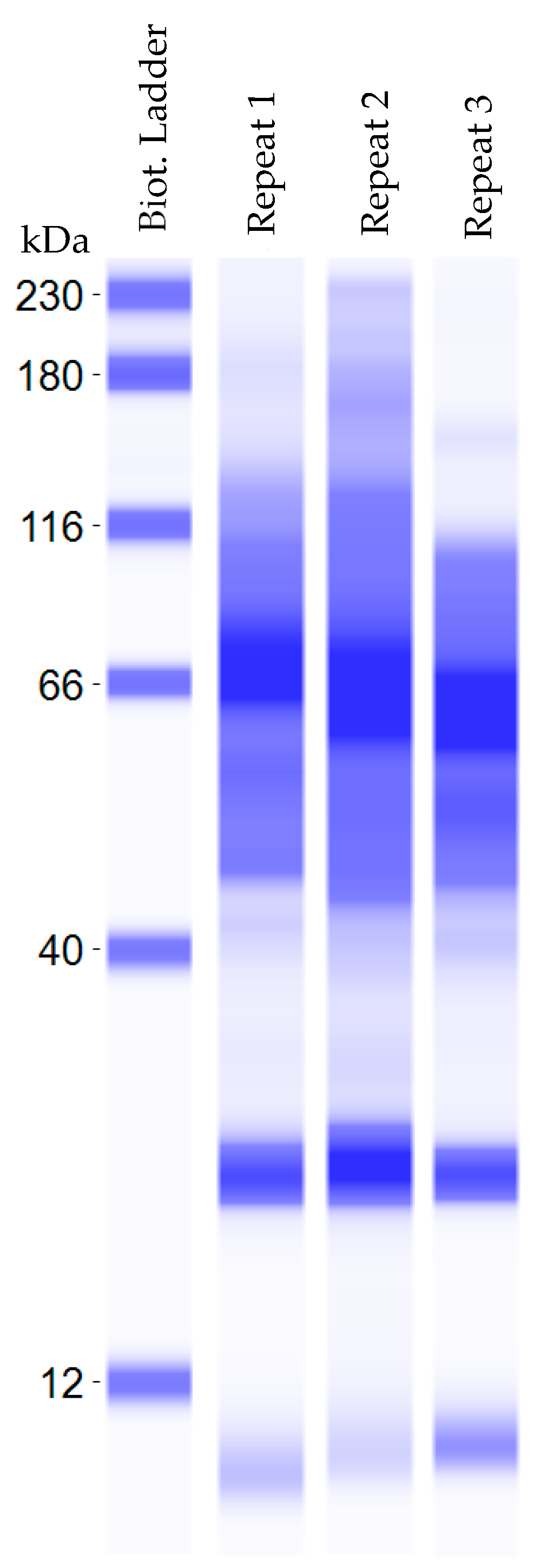 Horticulturae 10 01171 g003