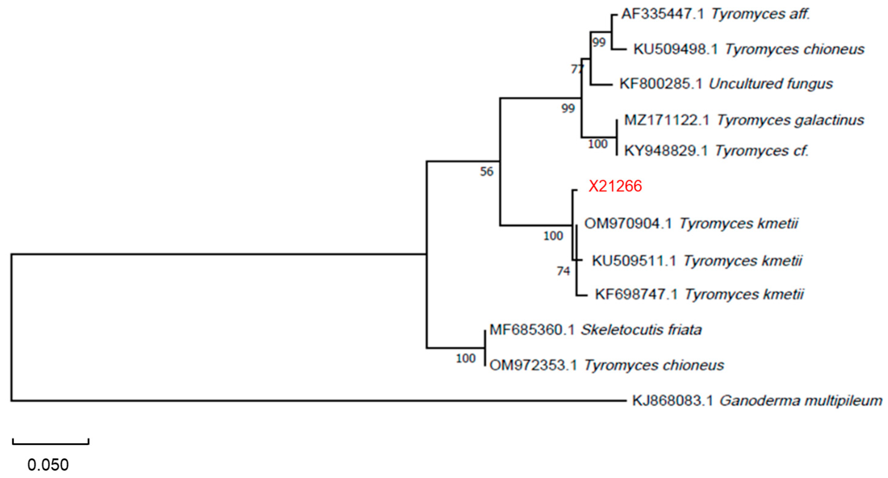 Horticulturae 10 01177 g002