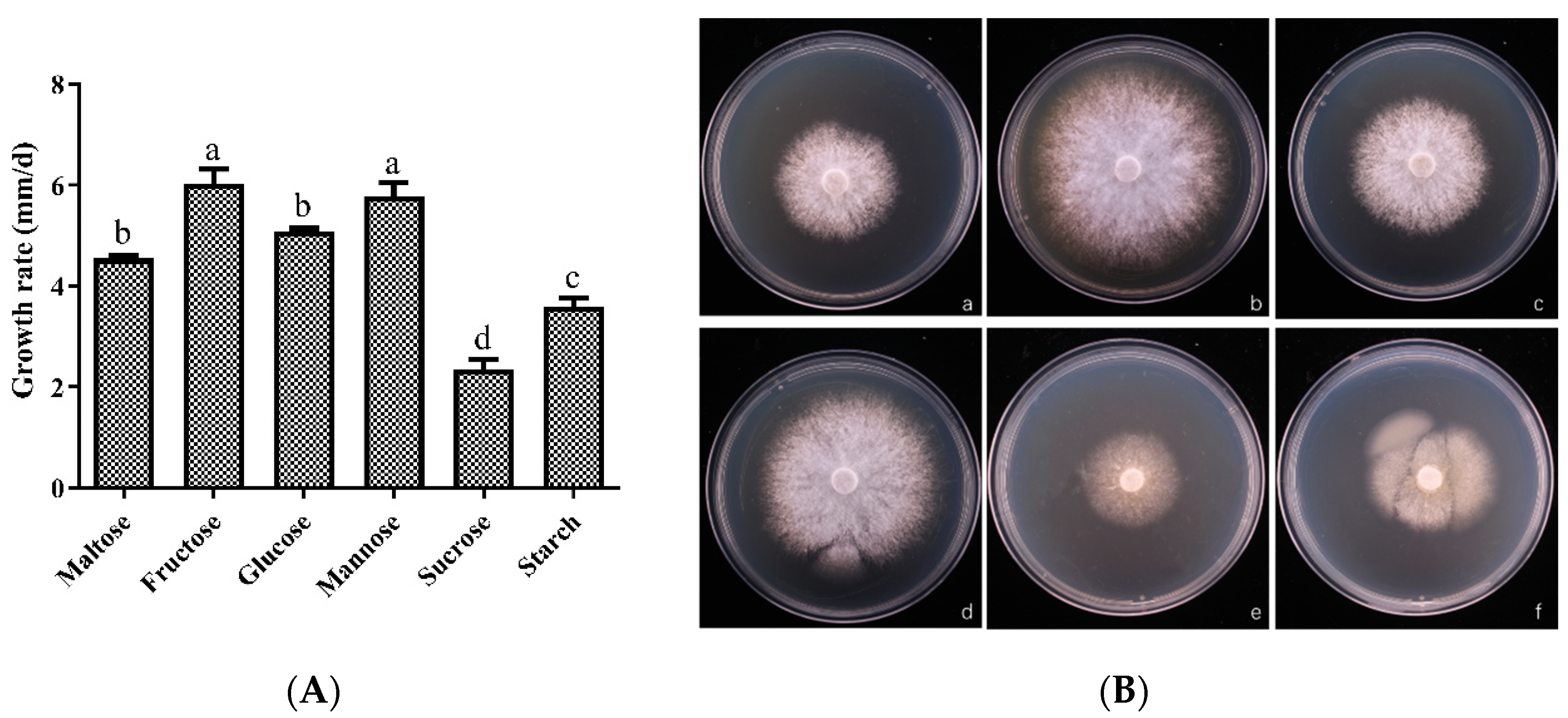 Horticulturae 10 01177 g003
