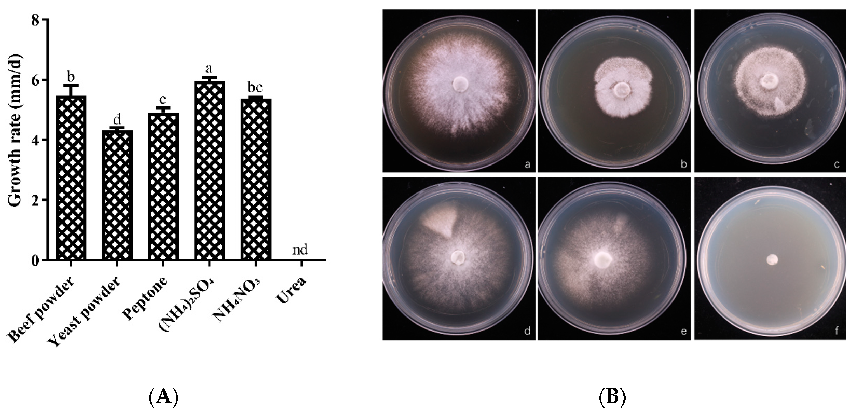 Horticulturae 10 01177 g004