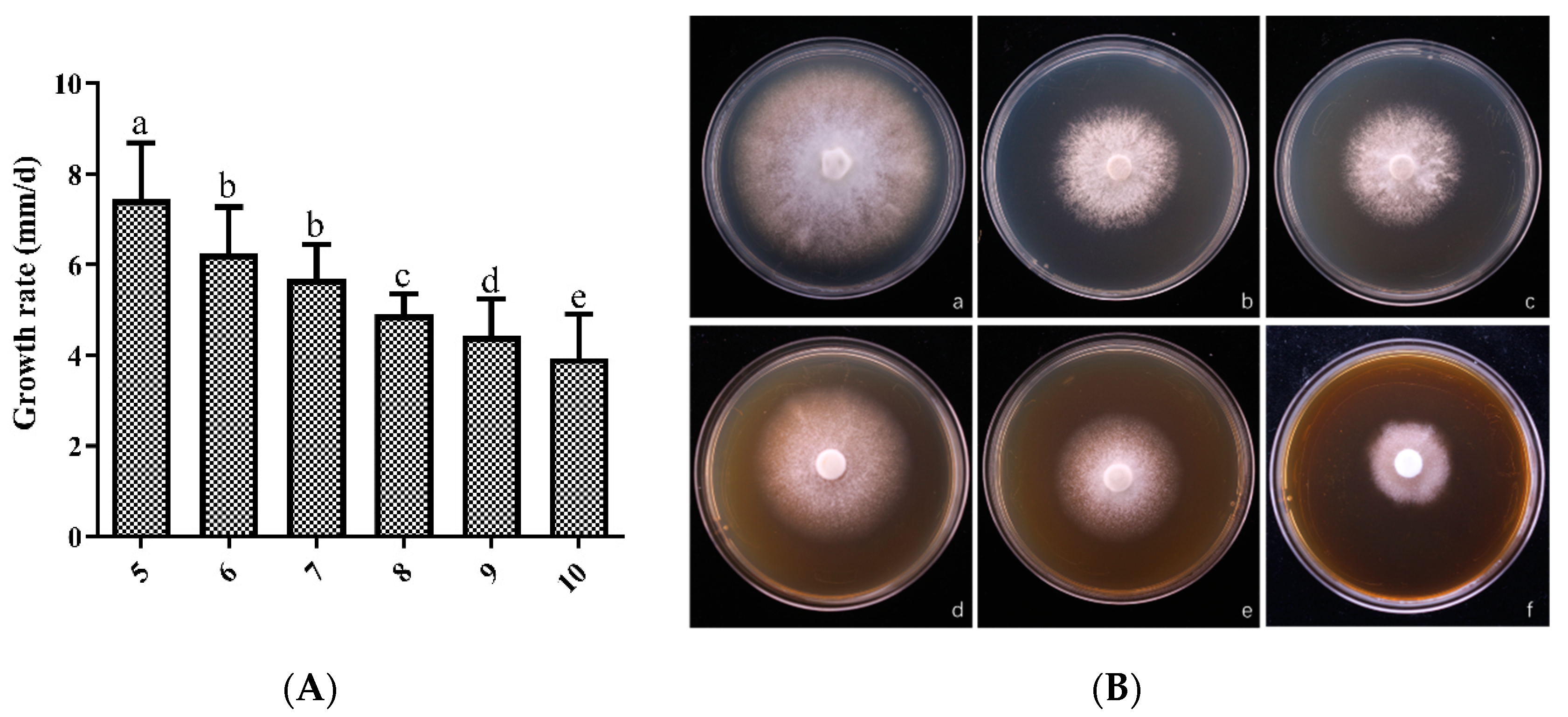 Horticulturae 10 01177 g005