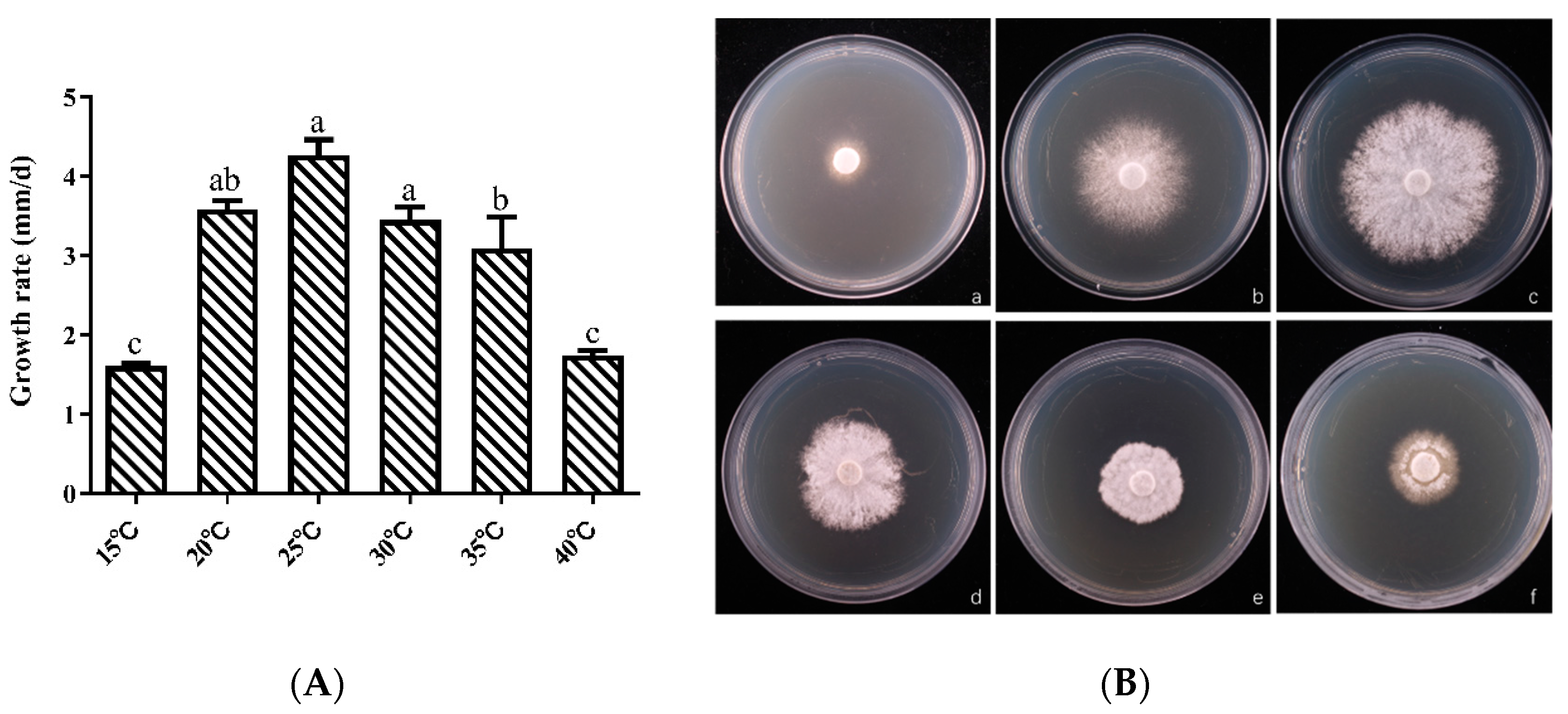 Horticulturae 10 01177 g006