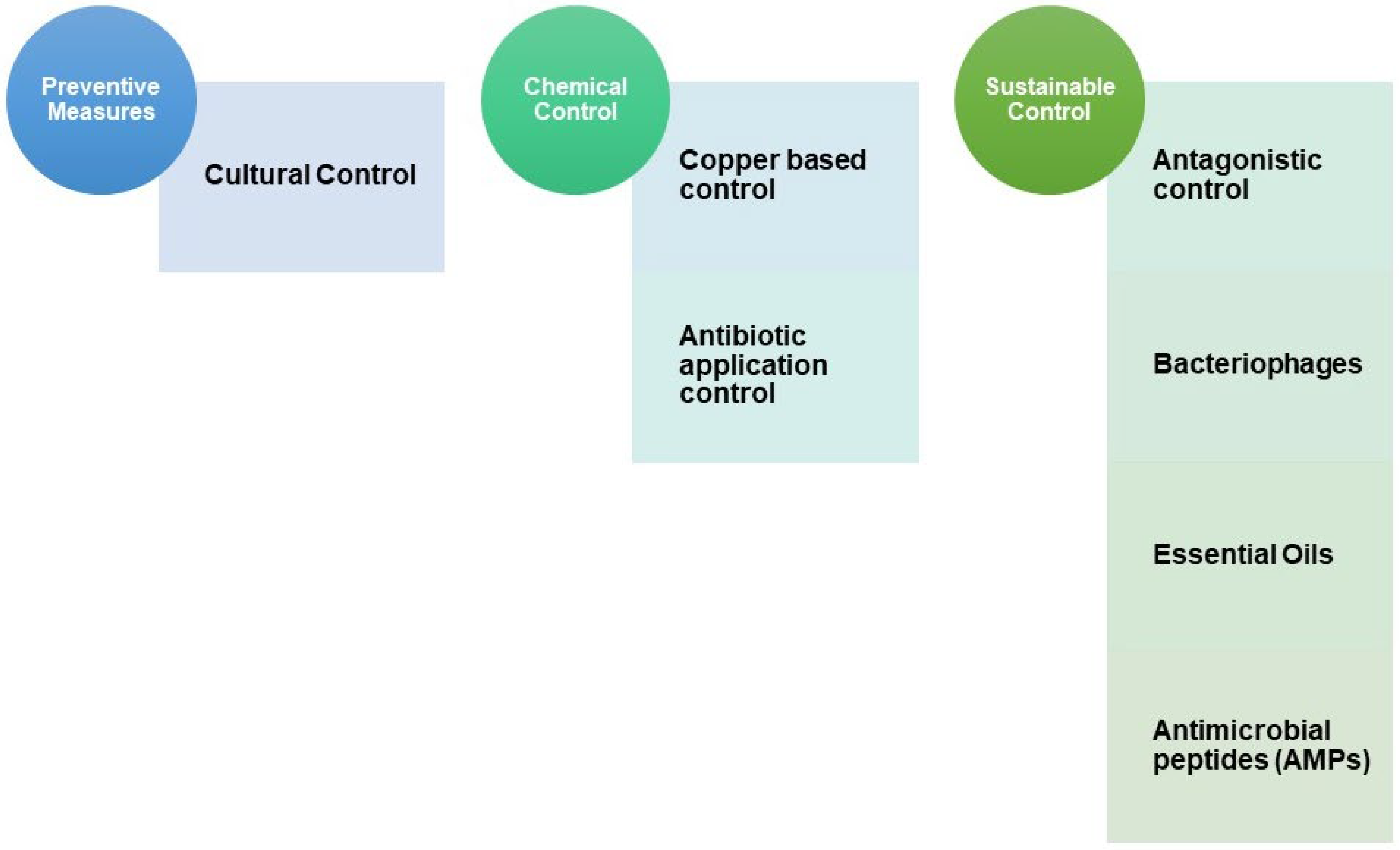 Horticulturae 10 01178 g002 Horticulturae 10 01178 g002