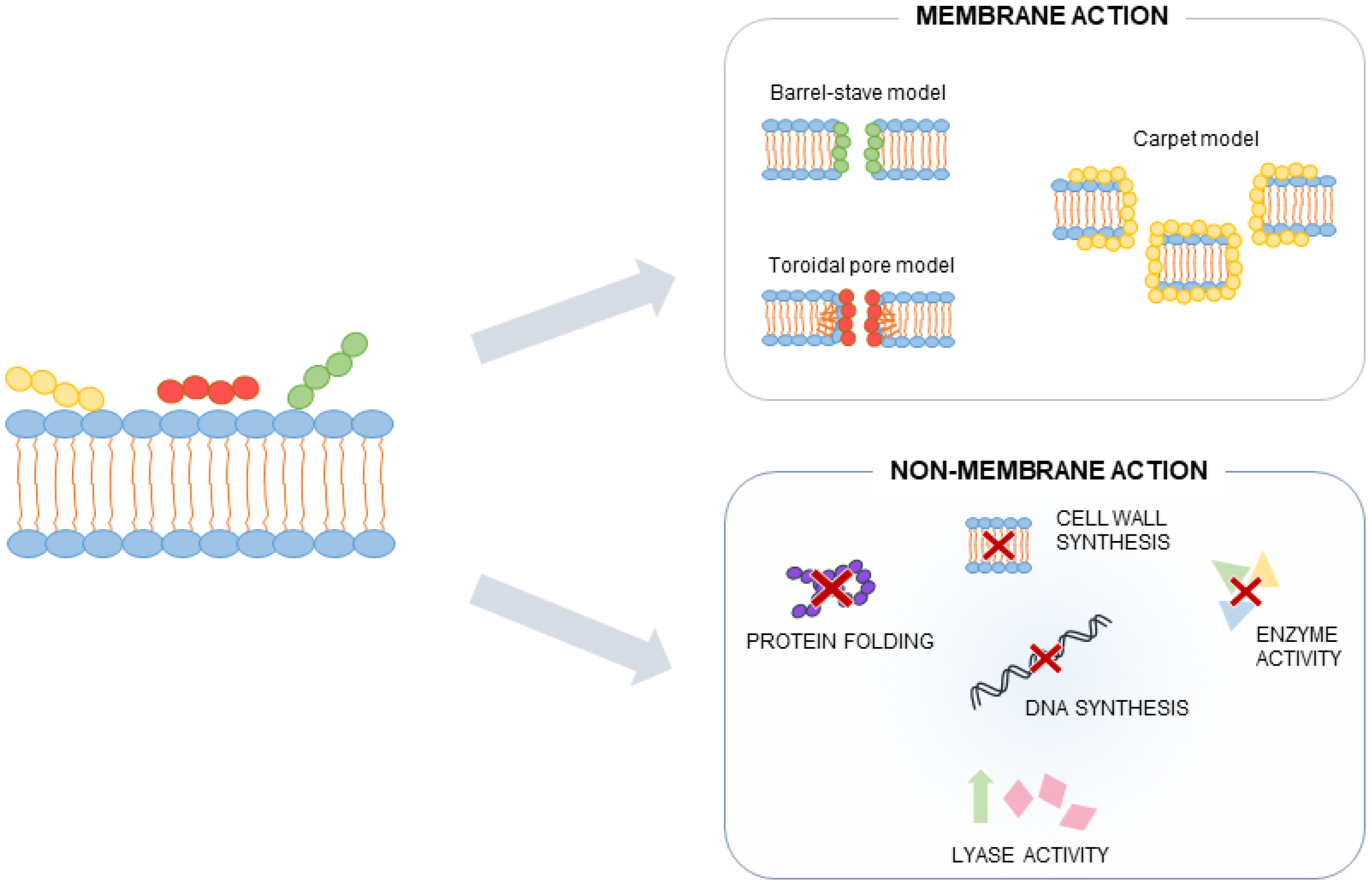 Horticulturae 10 01178 g003 Horticulturae 10 01178 g003