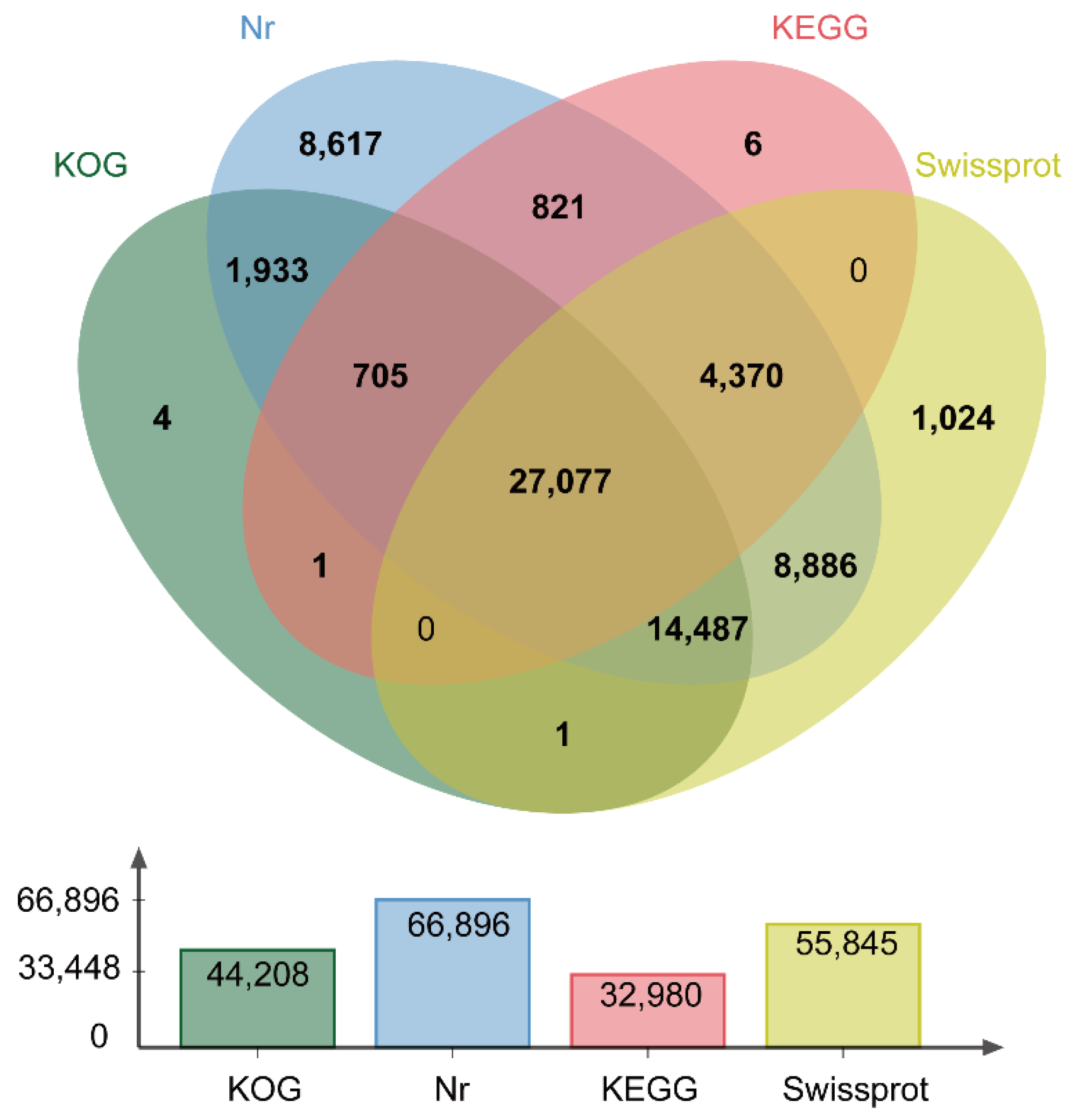 Horticulturae 10 01180 g003 Horticulturae 10 01180 g003