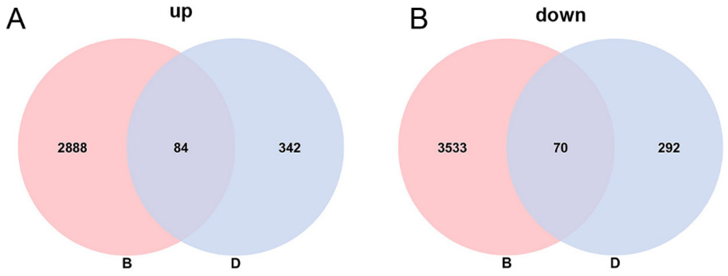 Horticulturae 10 01180 g005 Horticulturae 10 01180 g005