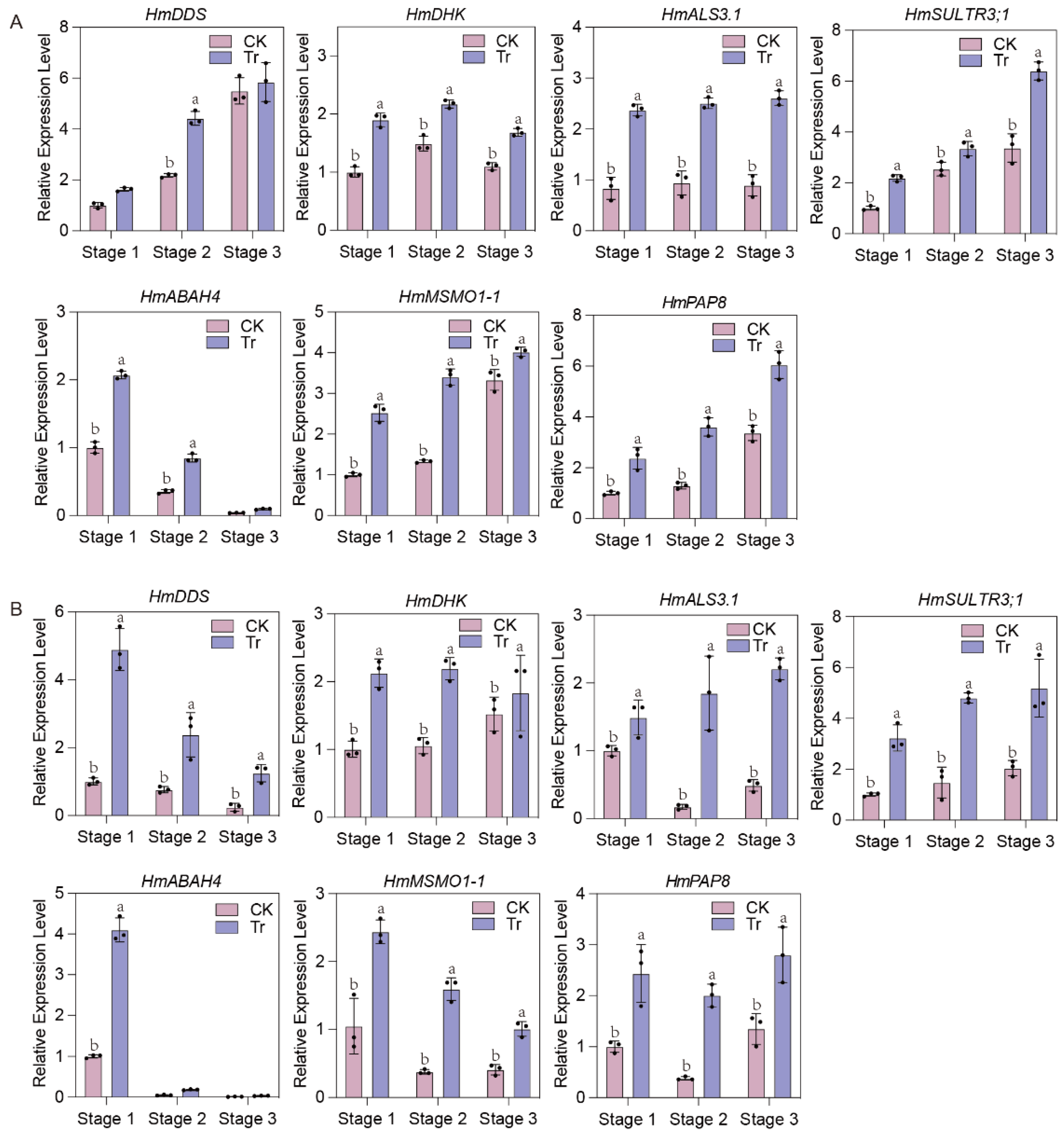 Horticulturae 10 01180 g007 Horticulturae 10 01180 g007