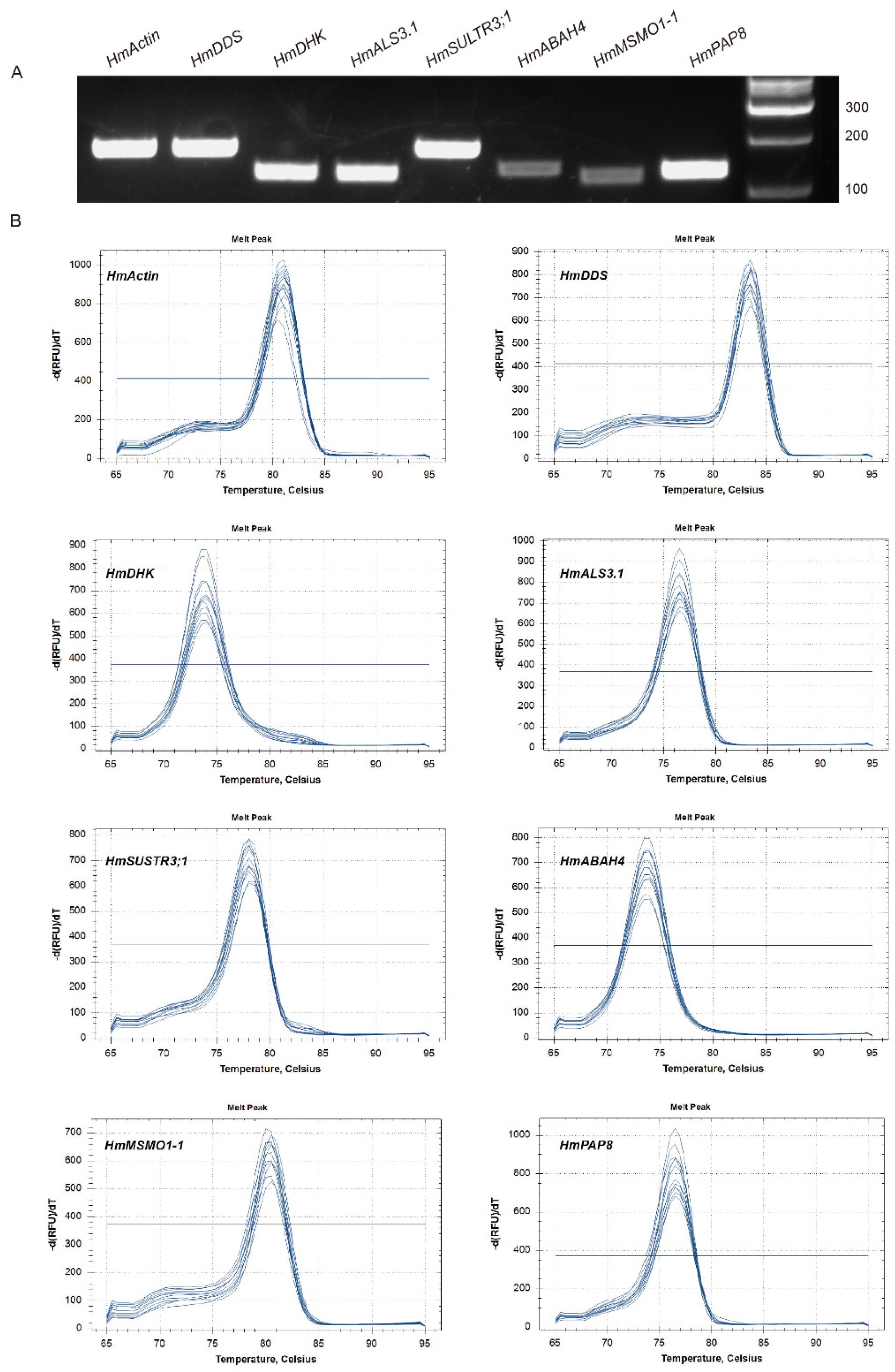 Horticulturae 10 01180 g008 Horticulturae 10 01180 g008