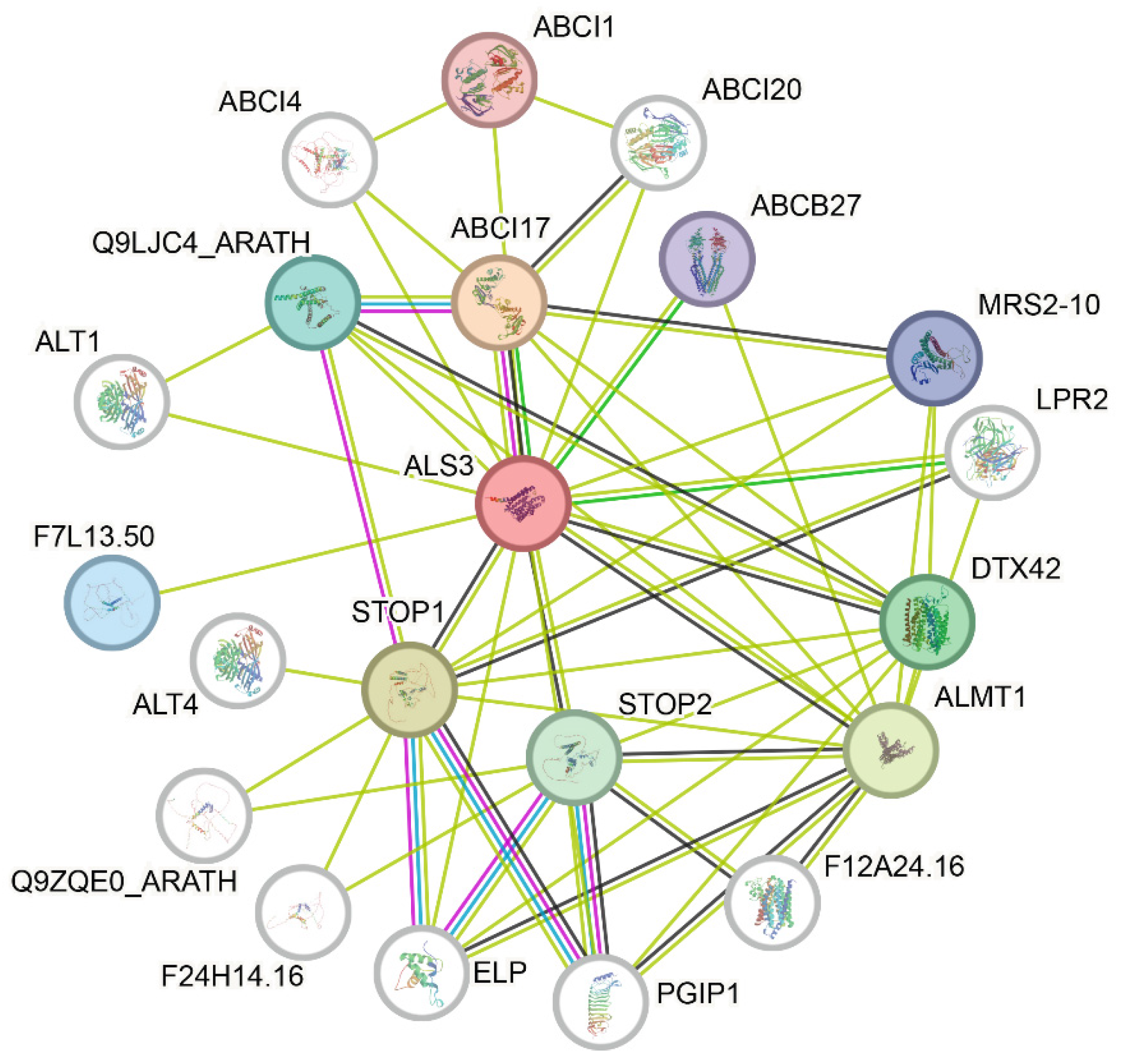 Horticulturae 10 01180 g009 Horticulturae 10 01180 g009