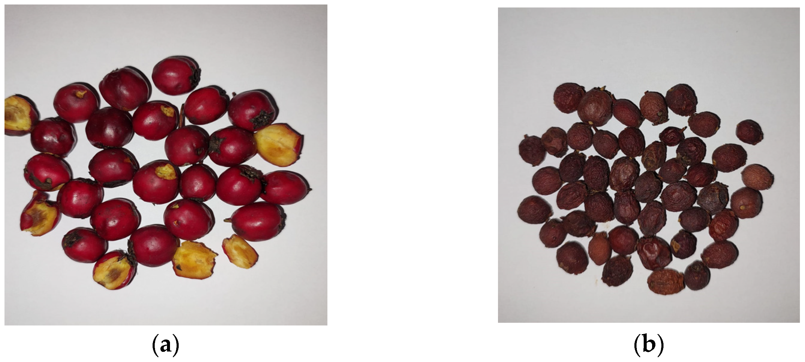 Horticulturae 10 01184 g001