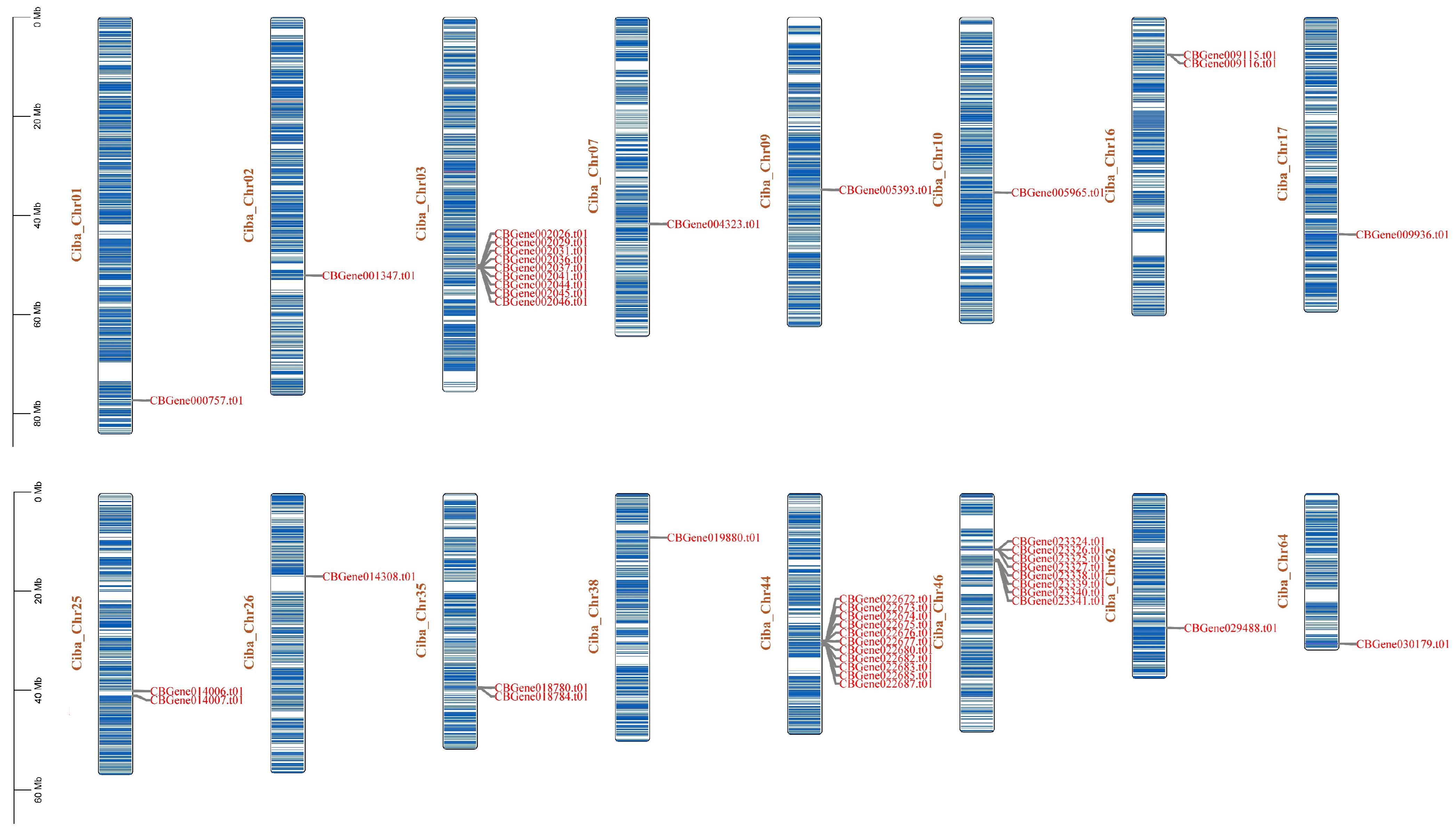 Horticulturae 10 01191 g003