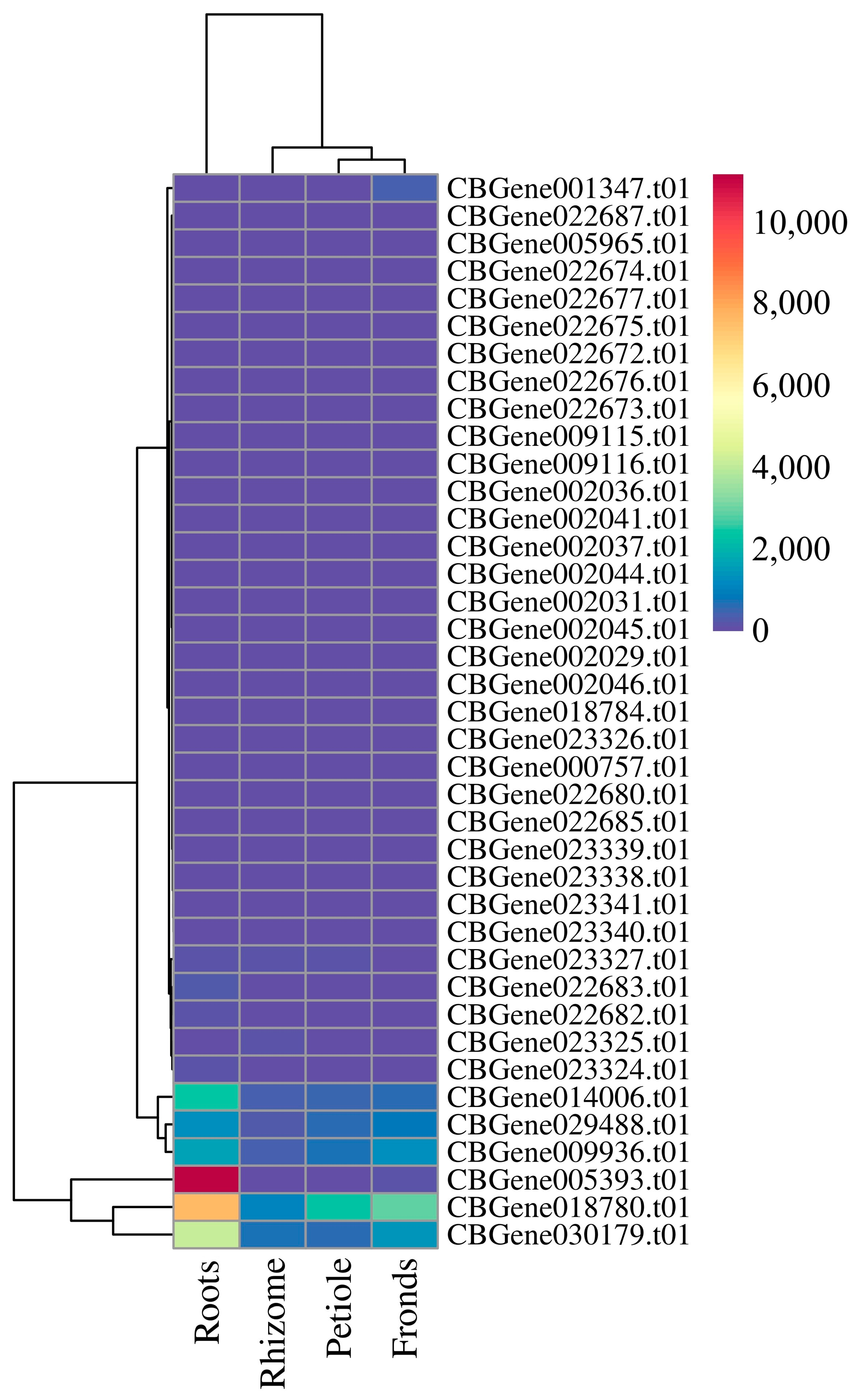 Horticulturae 10 01191 g004