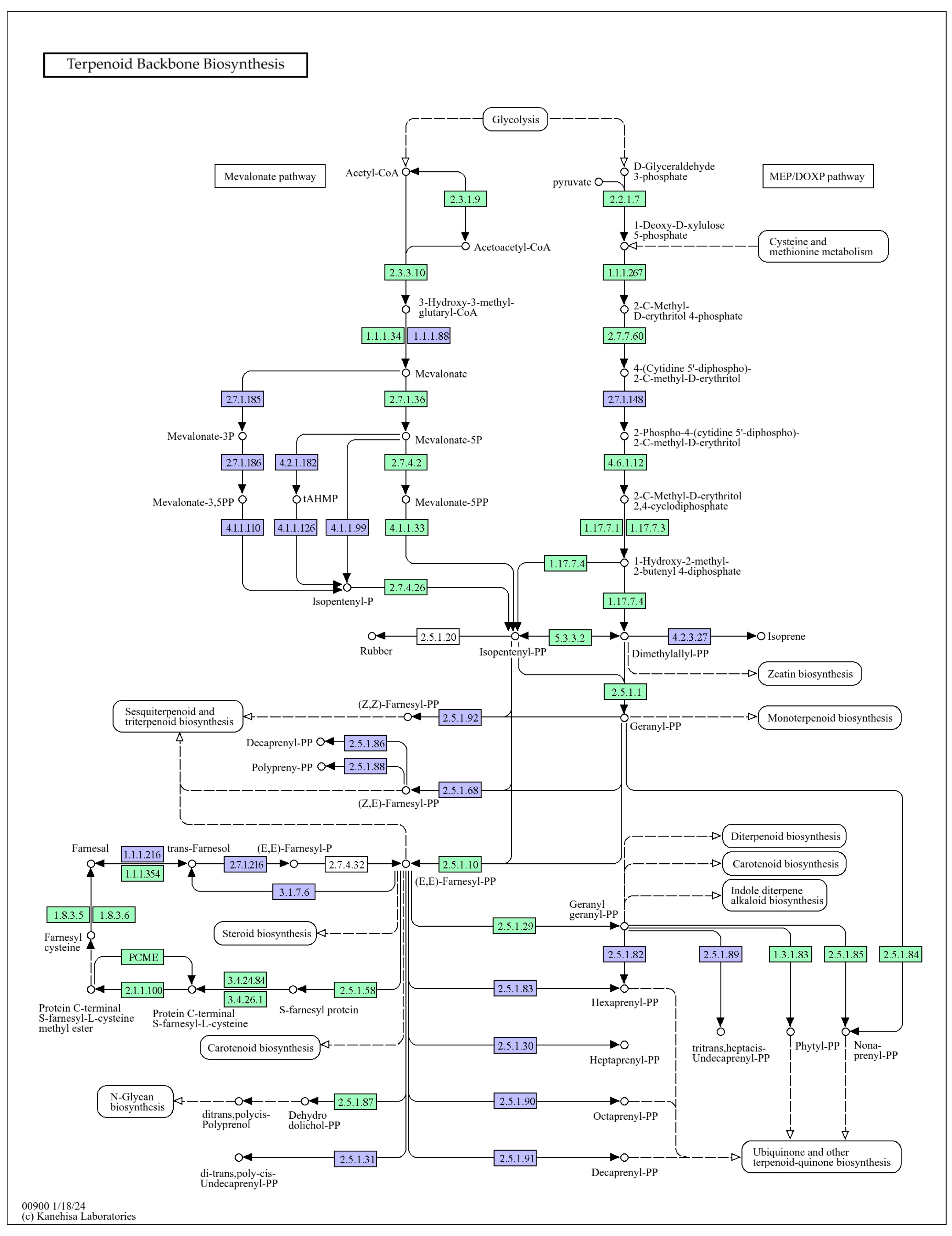 Horticulturae 10 01191 g005
