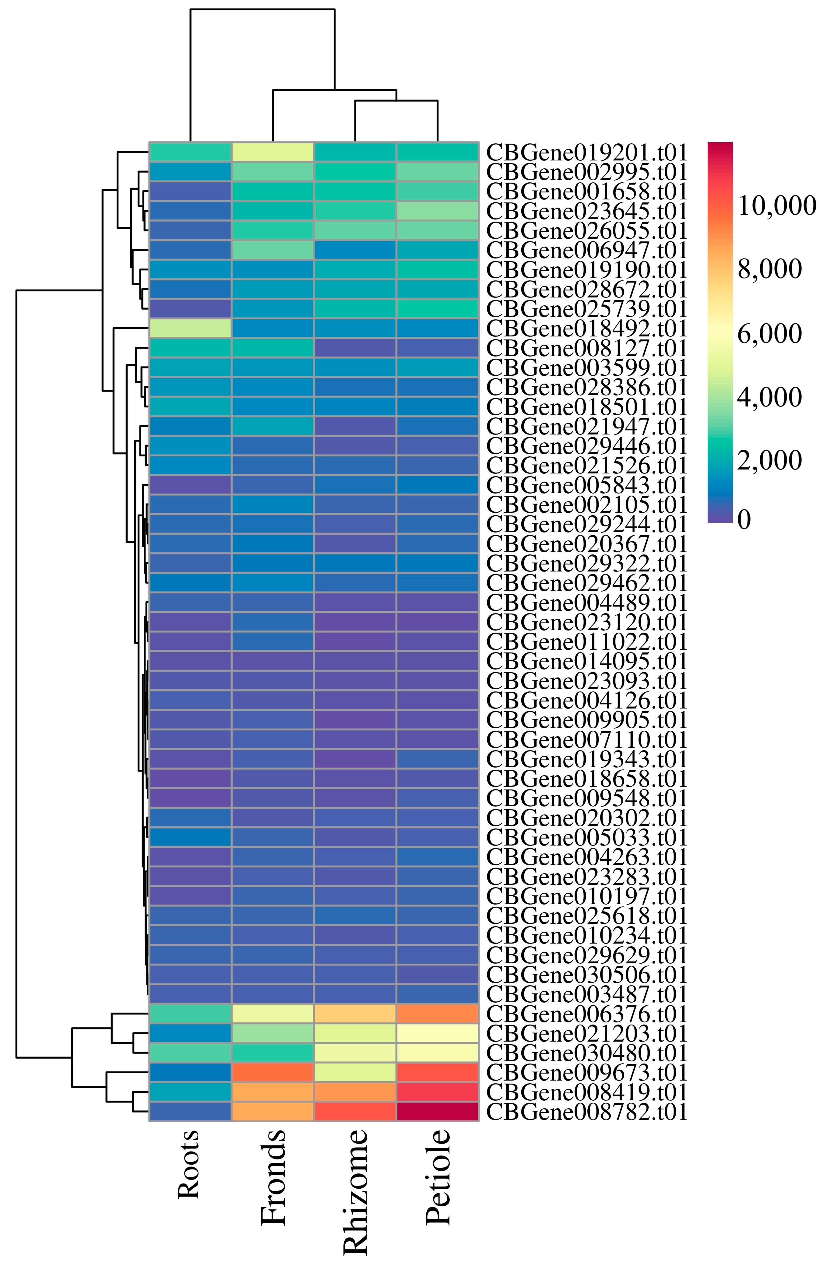 Horticulturae 10 01191 g006
