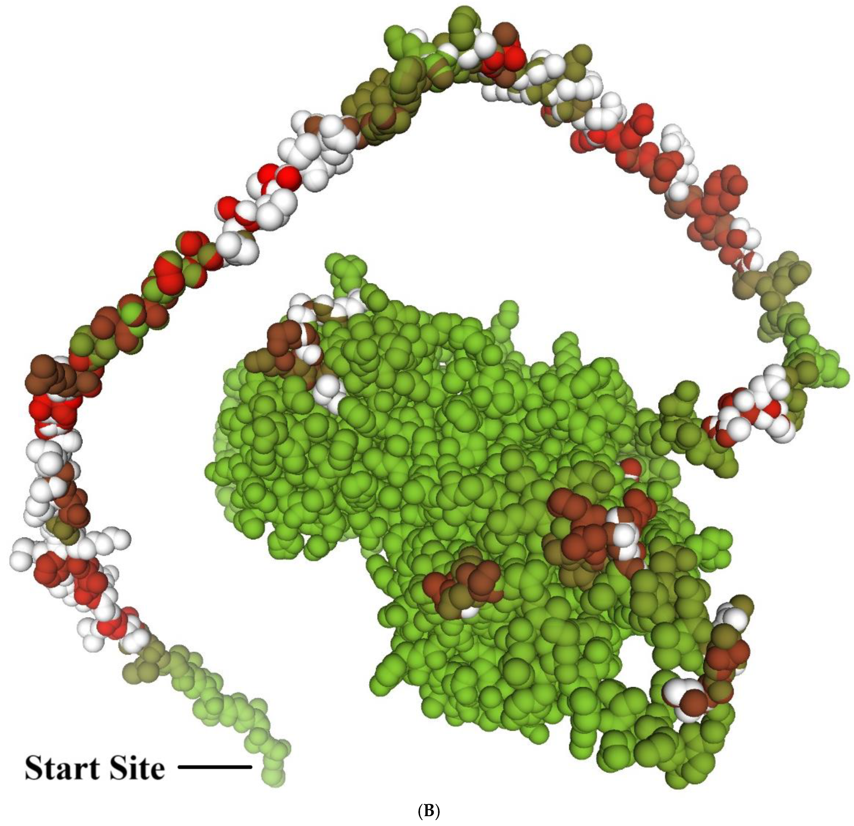 Horticulturae 10 01191 g007b