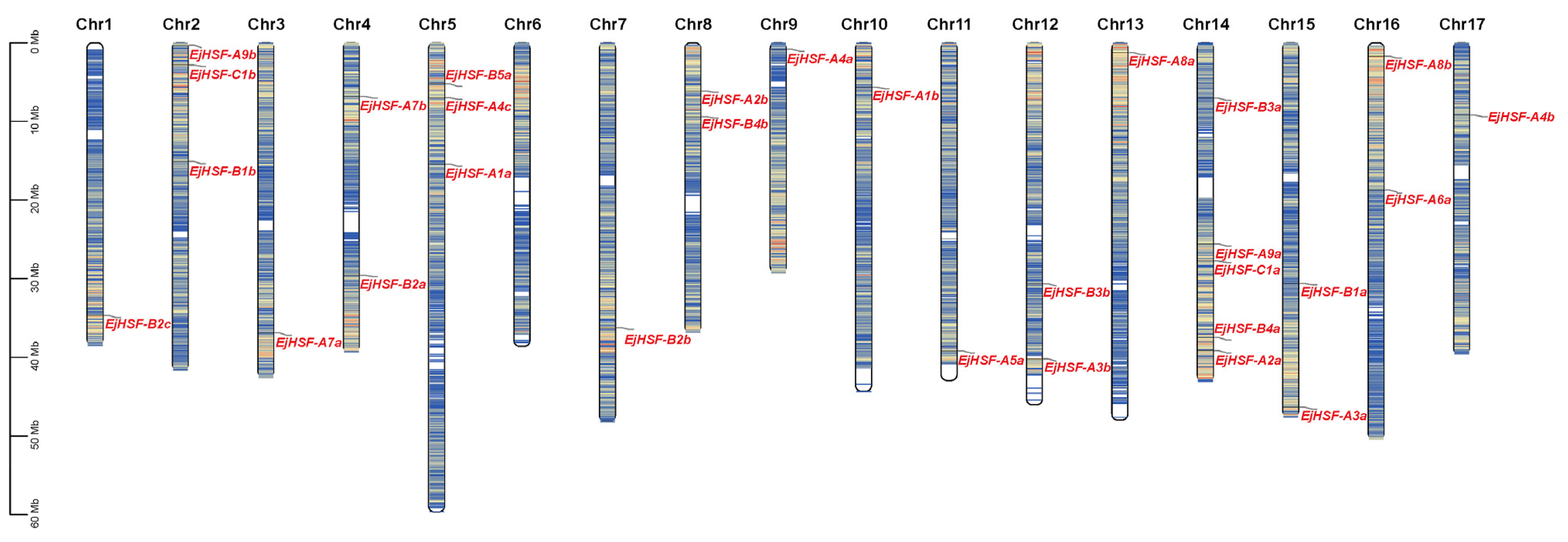 Horticulturae 10 01195 g001