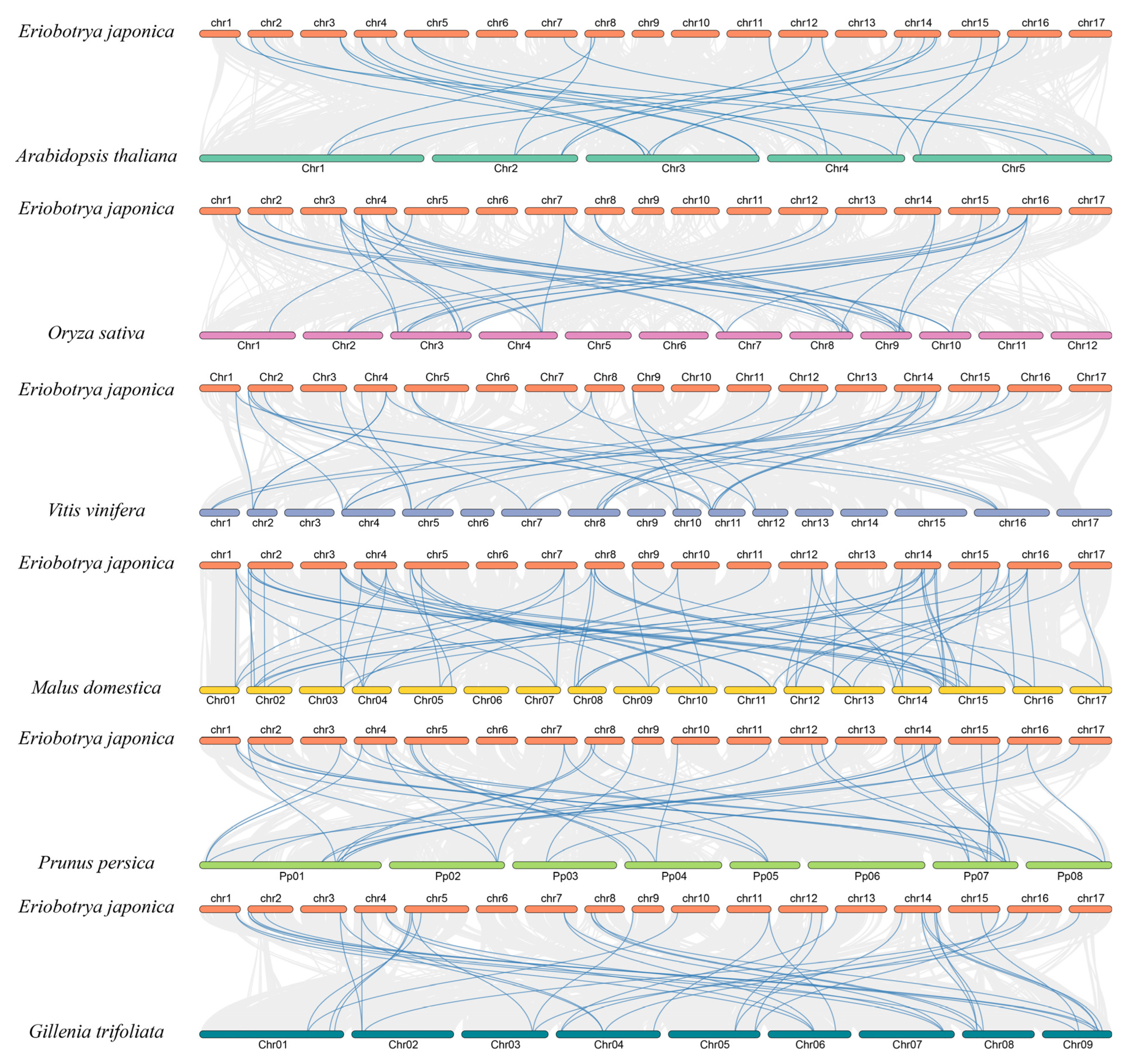 Horticulturae 10 01195 g003