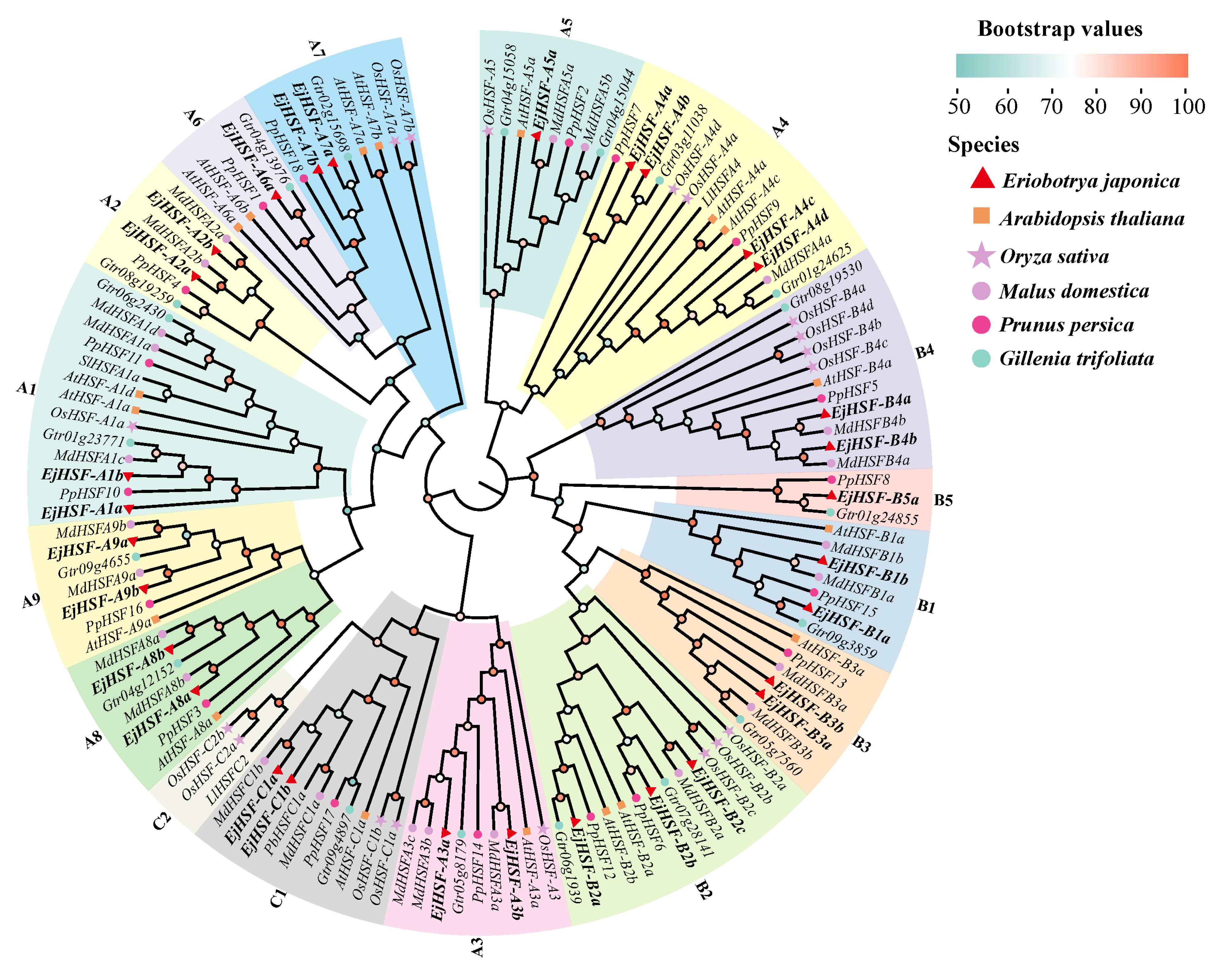 Horticulturae 10 01195 g004