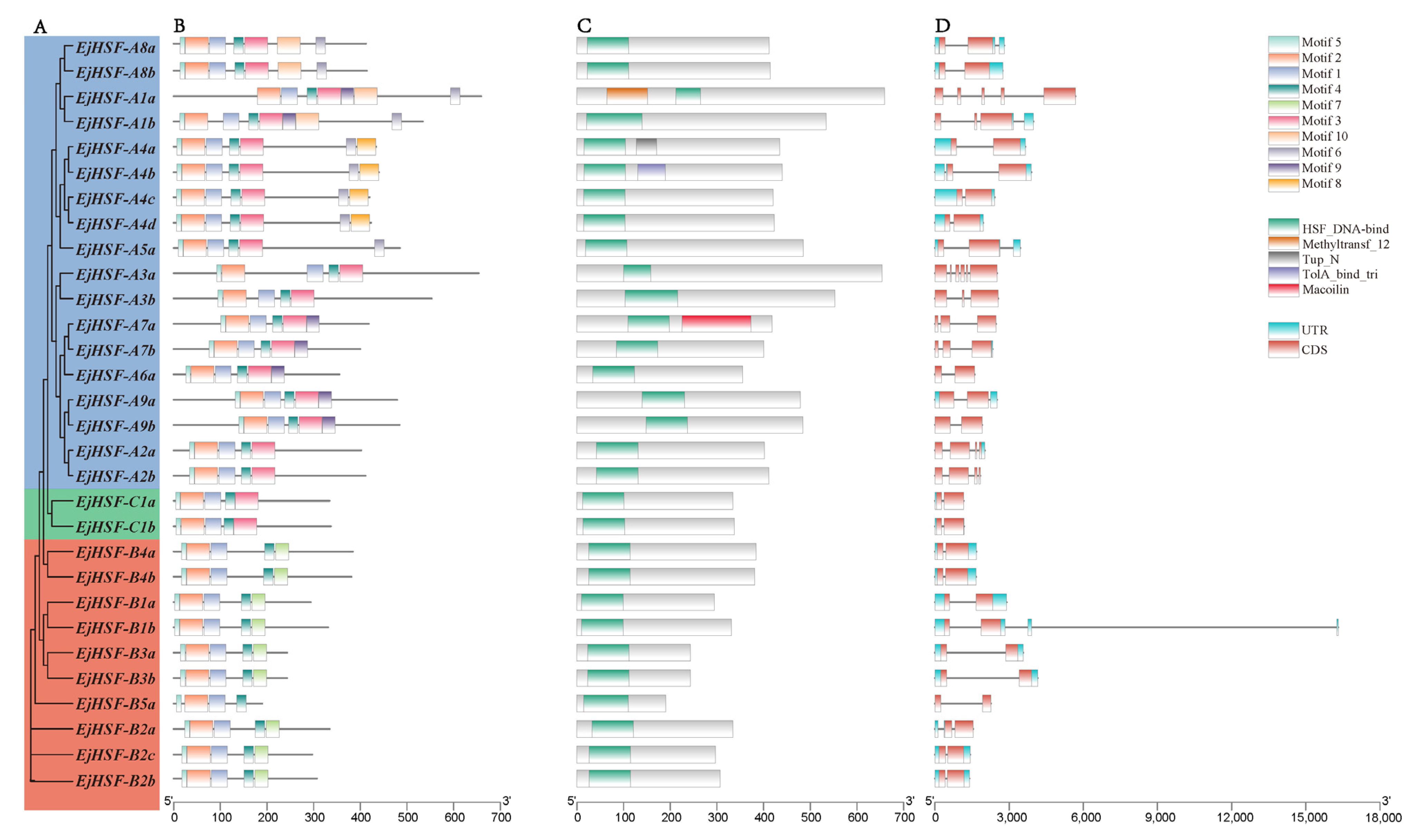 Horticulturae 10 01195 g005
