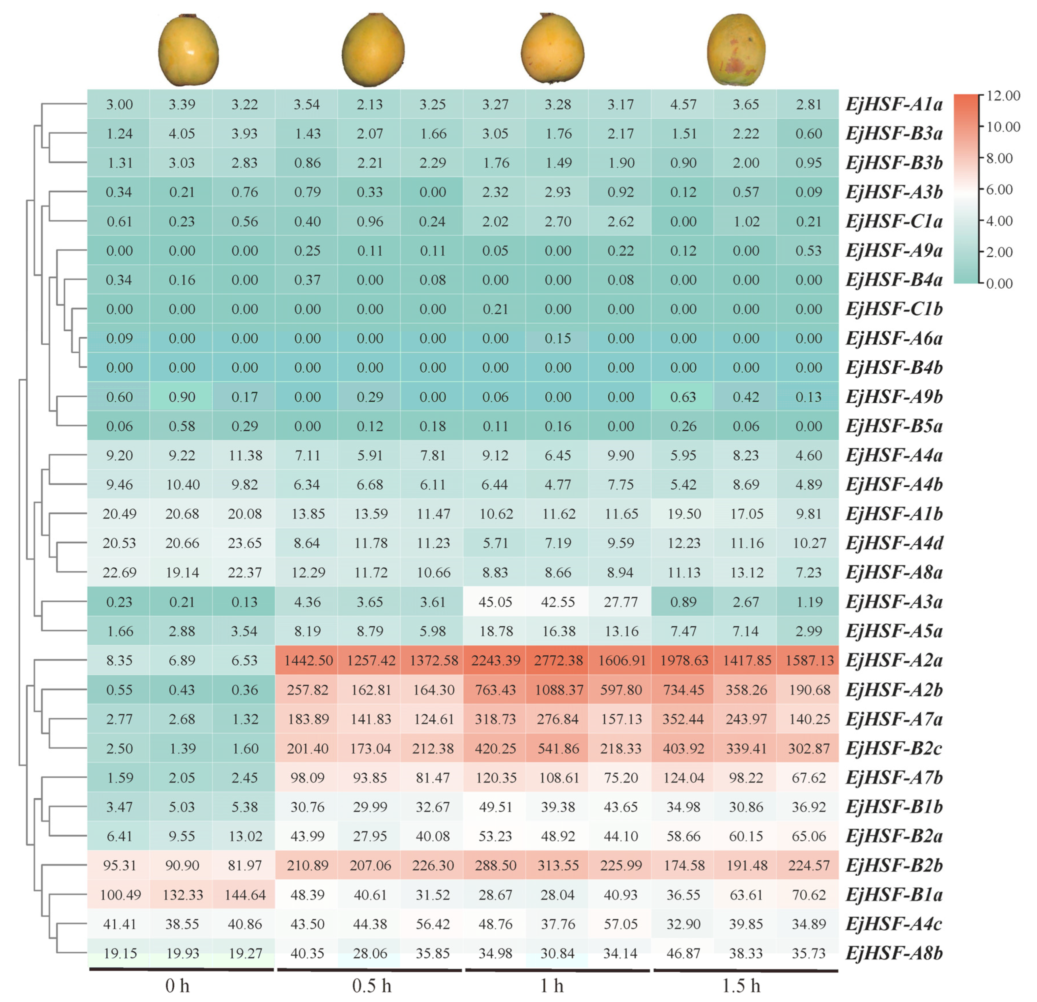 Horticulturae 10 01195 g008
