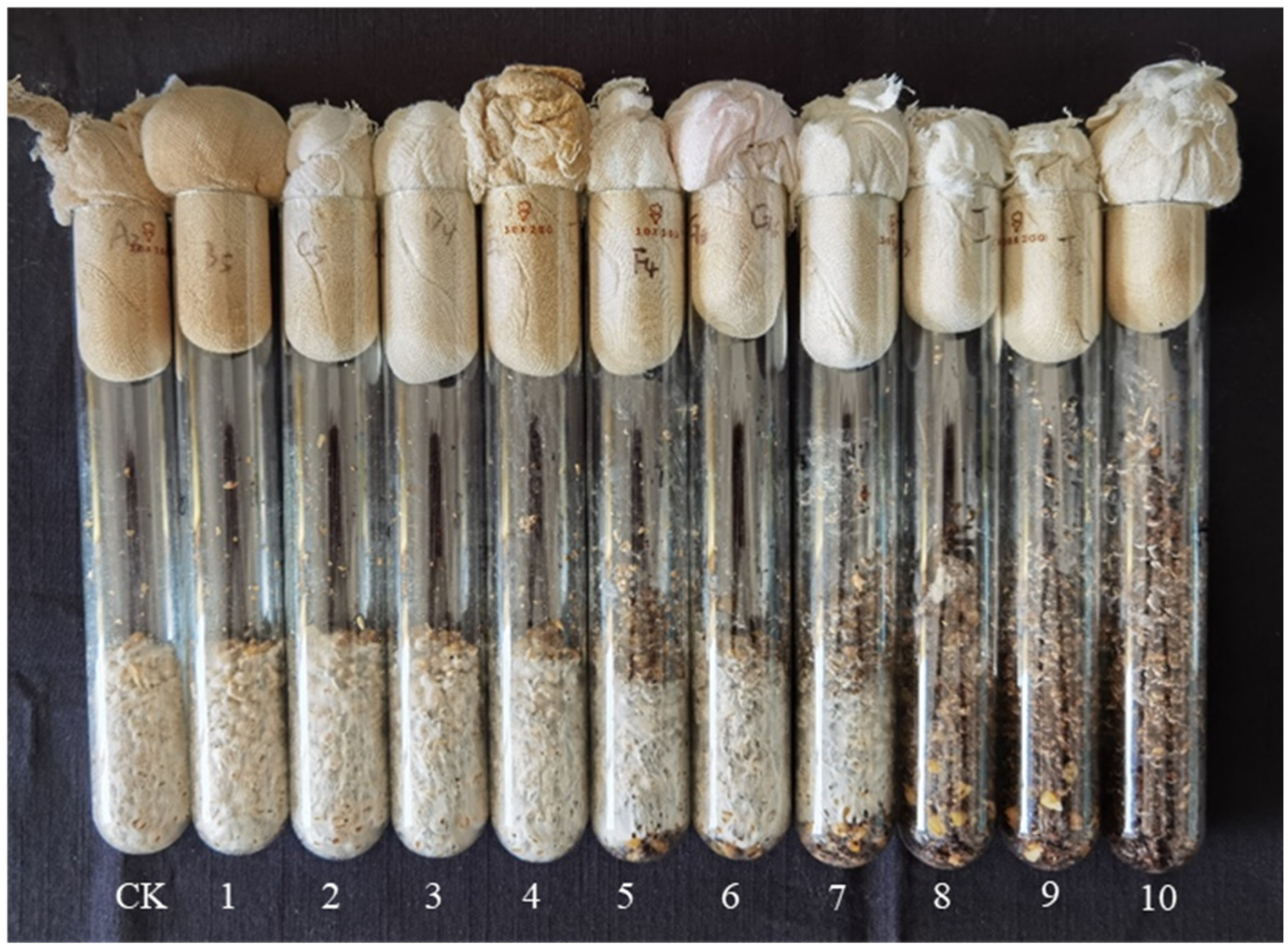 Horticulturae 10 01196 g003