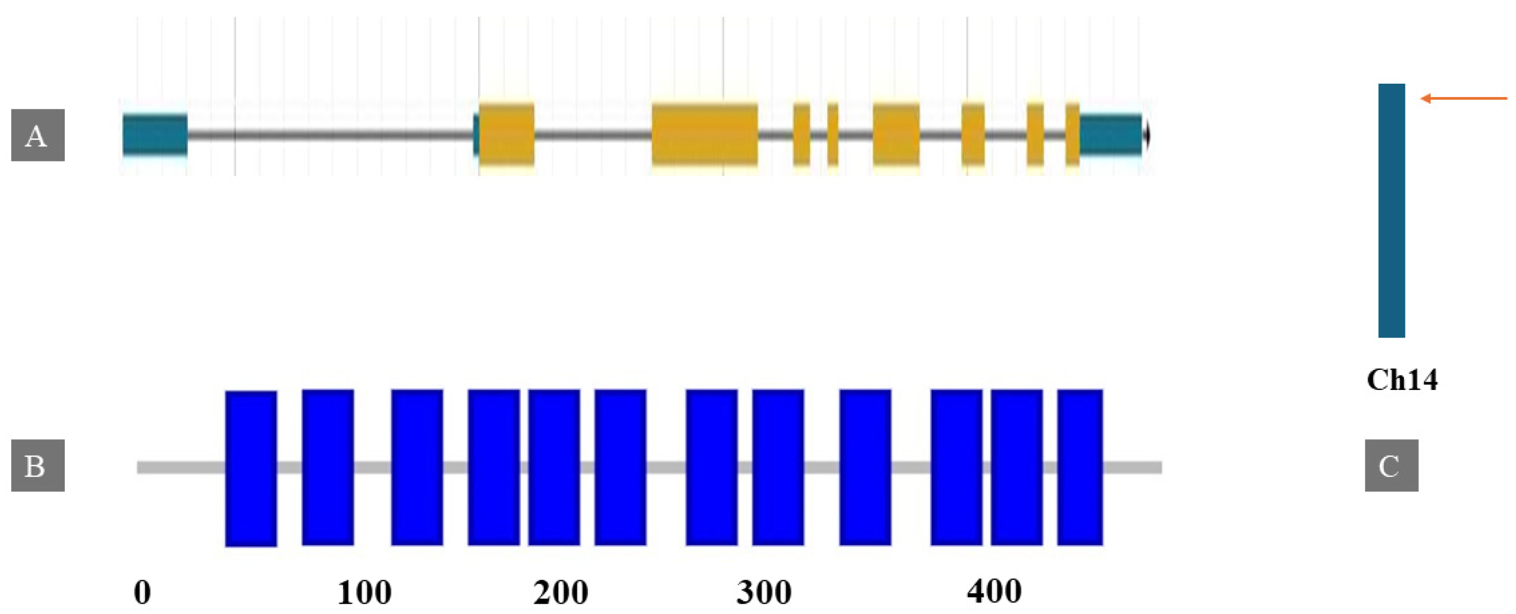 Horticulturae 10 01204 g003