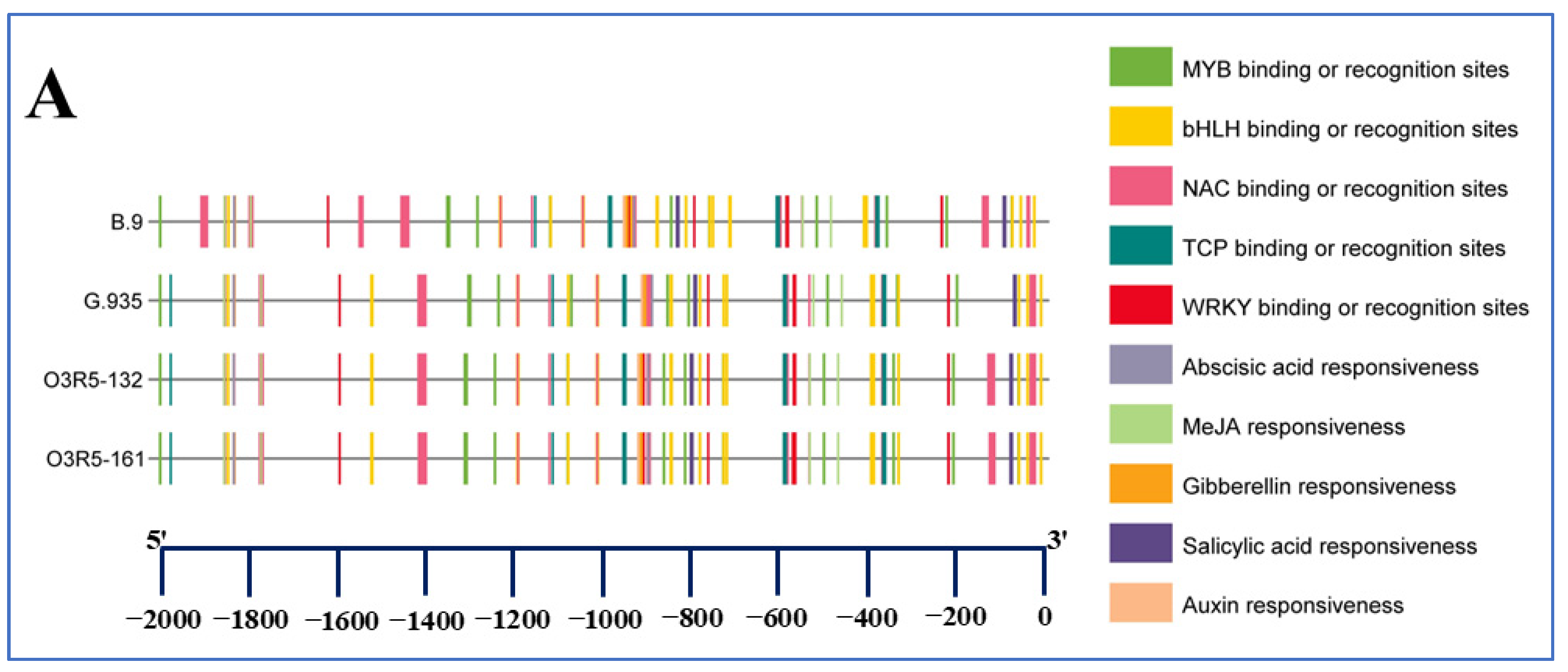 Horticulturae 10 01204 g004a