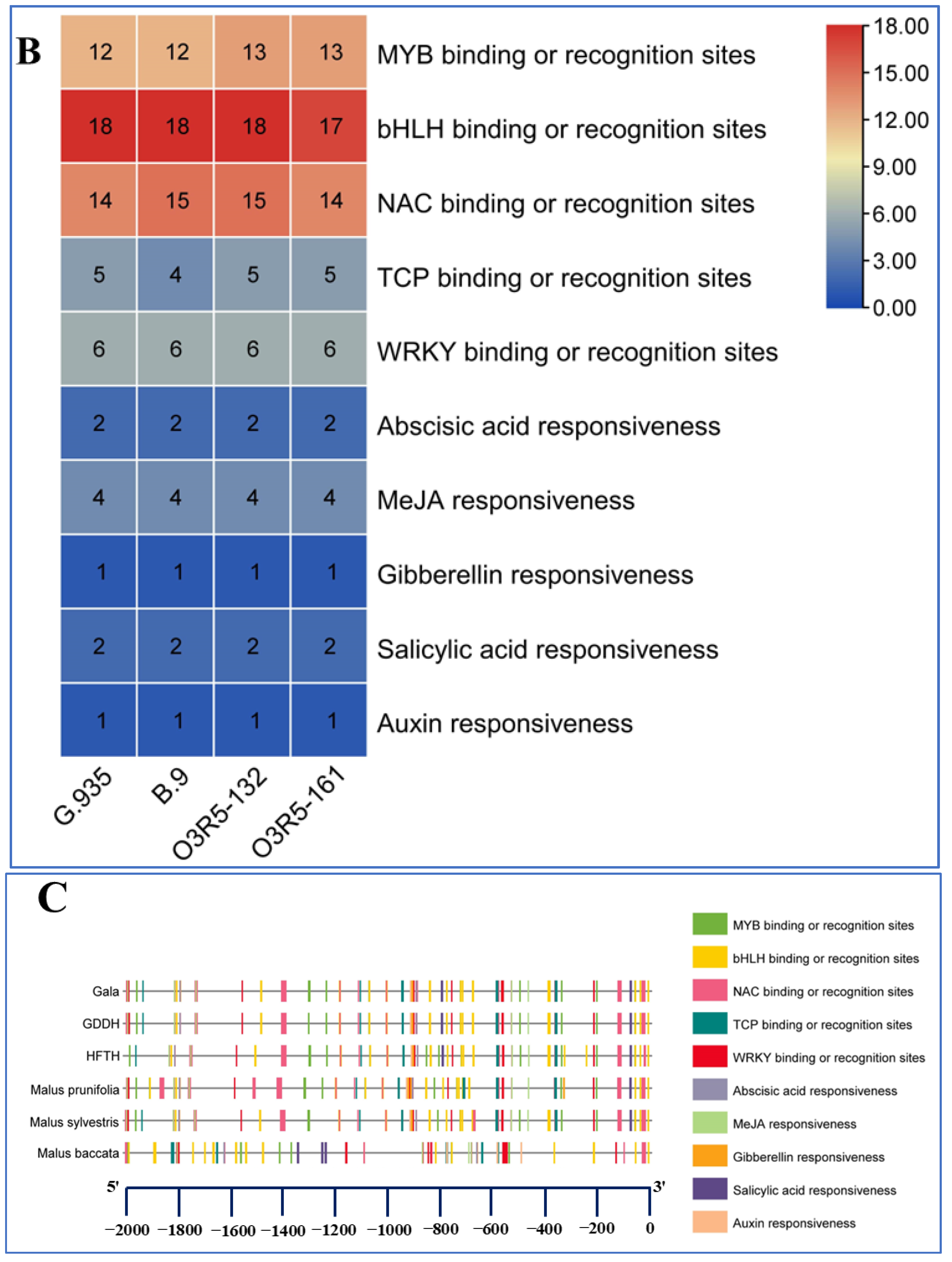 Horticulturae 10 01204 g004b