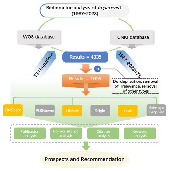 【l】 Vitamin C: From Self-Sufficiency to Dietary Dependence in