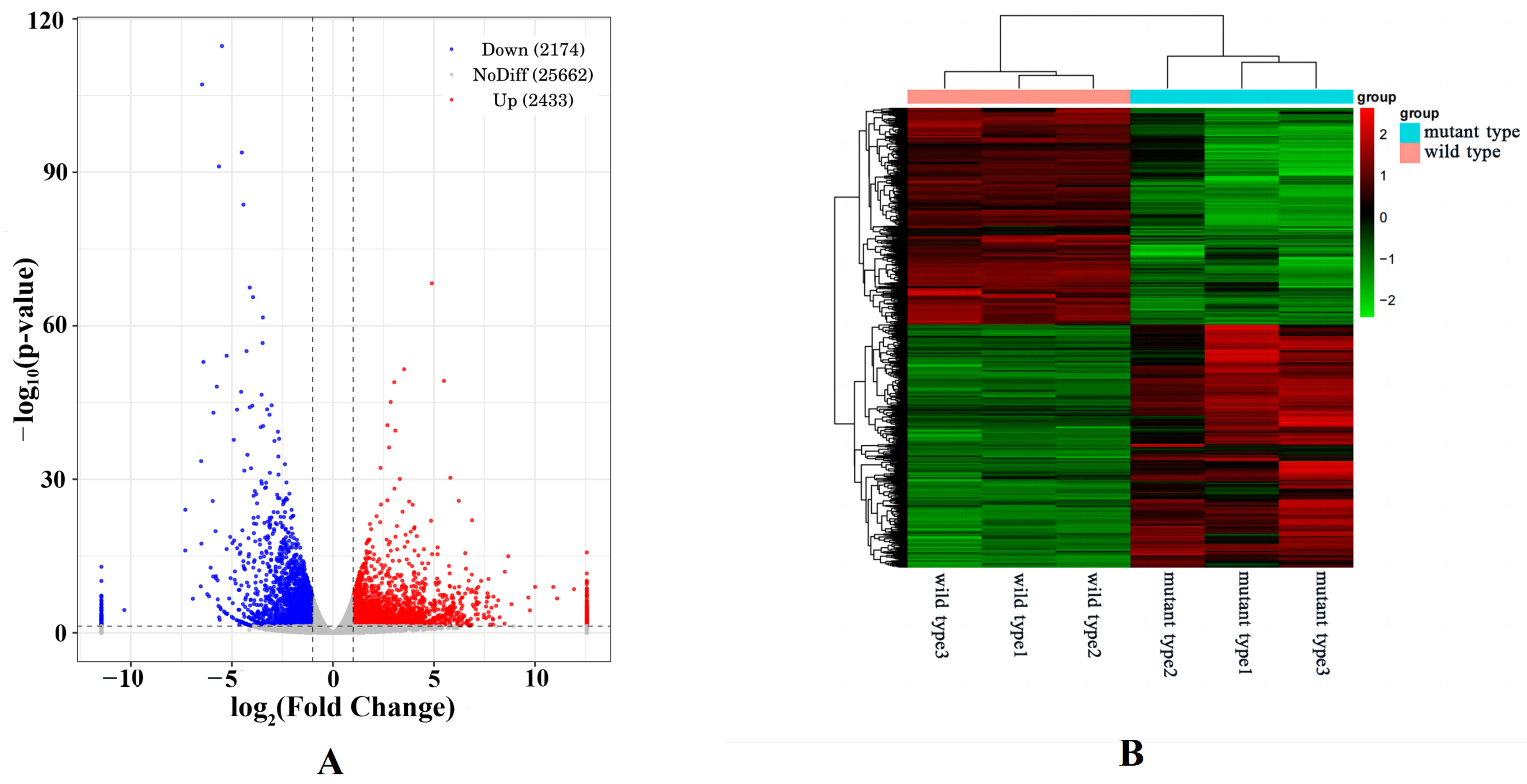 Horticulturae 10 01211 g004
